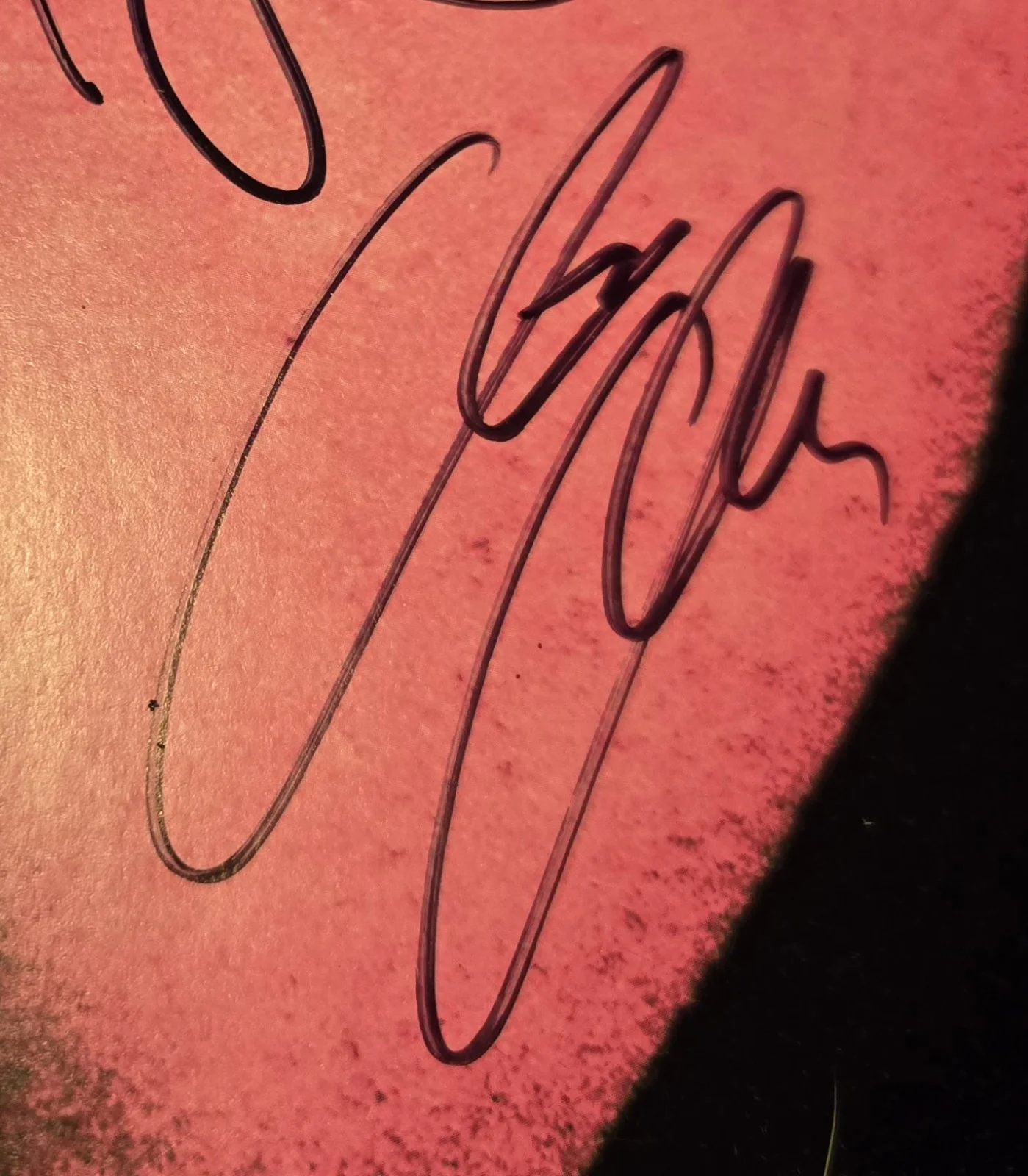 Neon Trees Autographed Animals Felt Poster 23x35 (4 Sigs), image 3