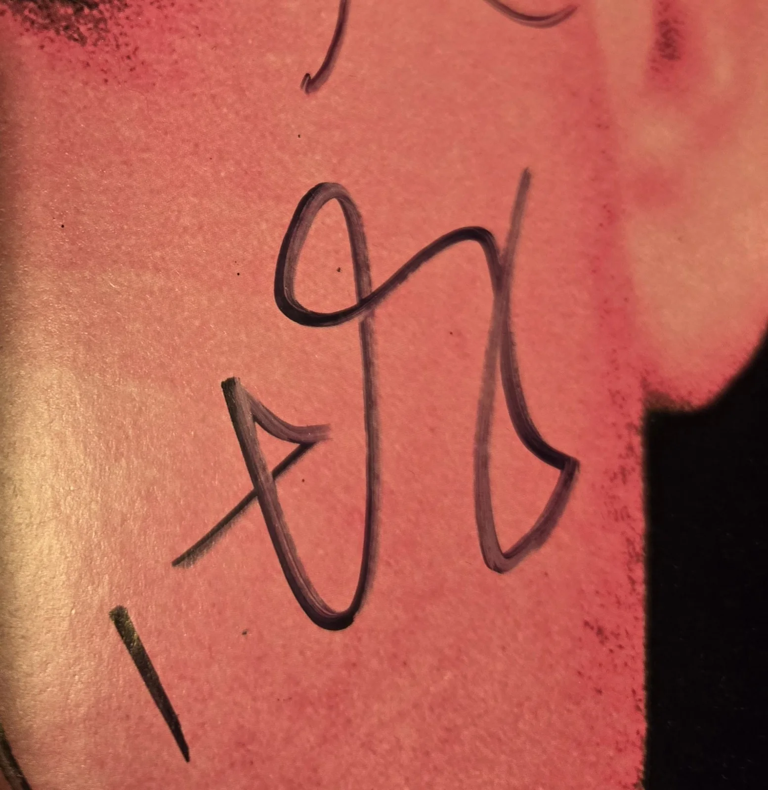 Neon Trees Autographed Animals Felt Poster 23x35 (4 Sigs), image 4