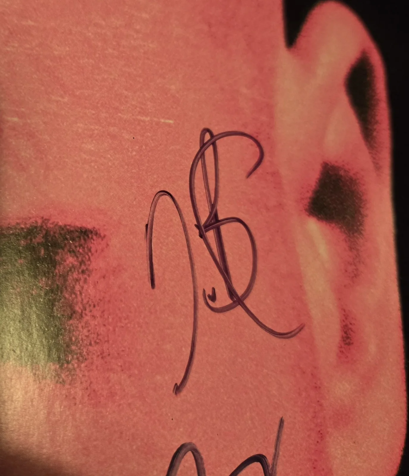 Neon Trees Autographed Animals Felt Poster 23x35 (4 Sigs), image 5