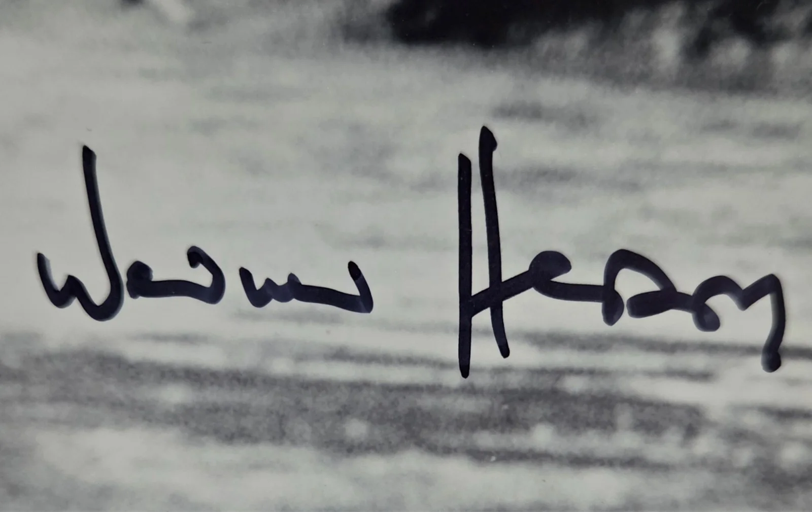 Werner Herzog Hand Signed Autograph 8x10 Photo Cobra Verde Grizzly Man Director, изображение 2