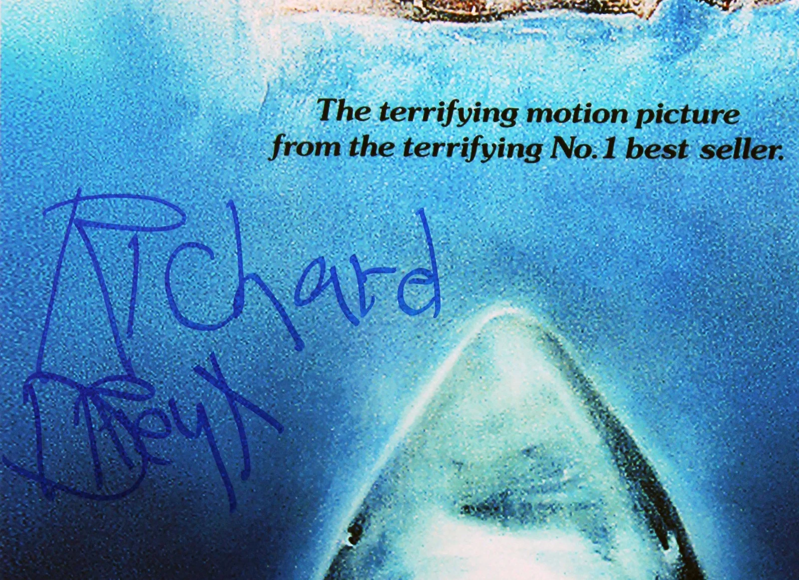 Richard Dreyfuss — Richard Dreyfuss Jaws Signed 12x18 Mini Movie Poster Photo BAS #BV25093, image 2
