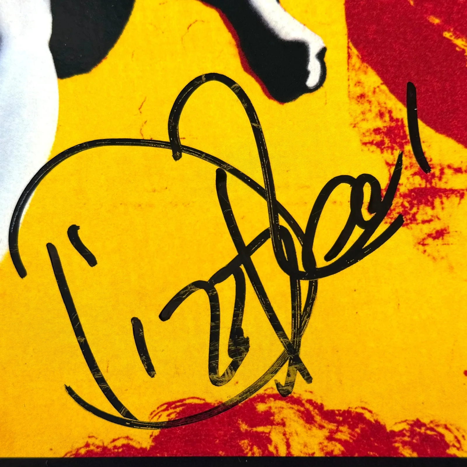 Dizzy Reed Signed Autographed Vinyl LP "Use Your Illusion I" Guns N' Roses PSA, изображение 2