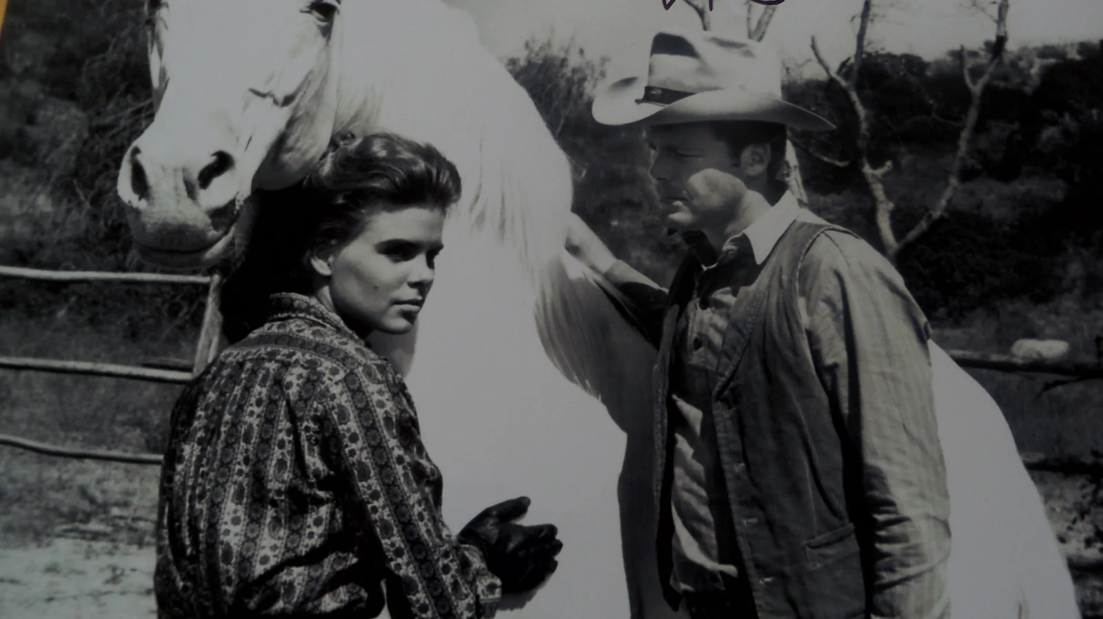 Sara Lane — Sara Lane signed photo The Virginian Doug Mcclure, изображение 3