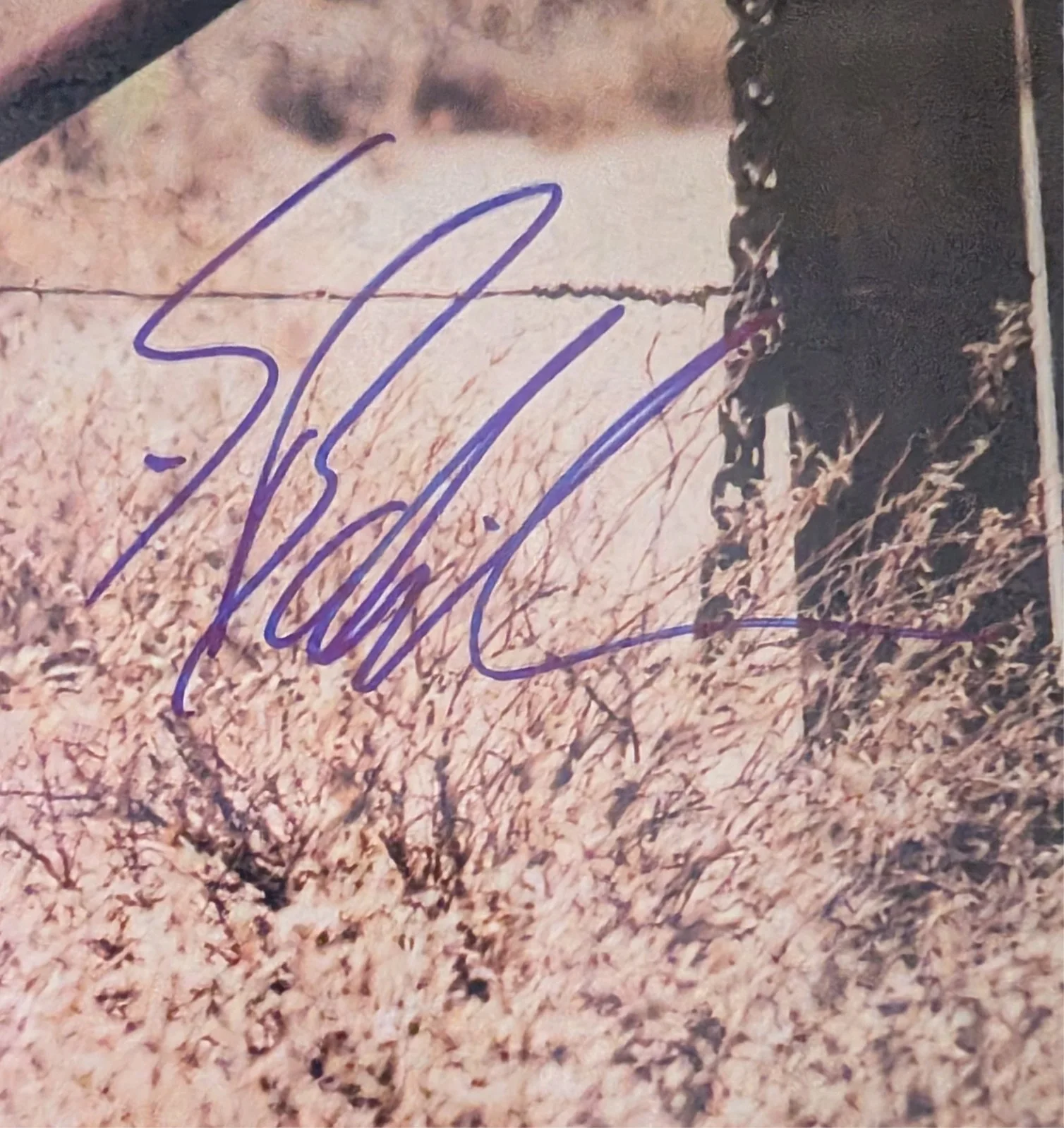 Stephen Baldwin — STEPHEN BALDWIN signed autograph 8x10 photo, image 2
