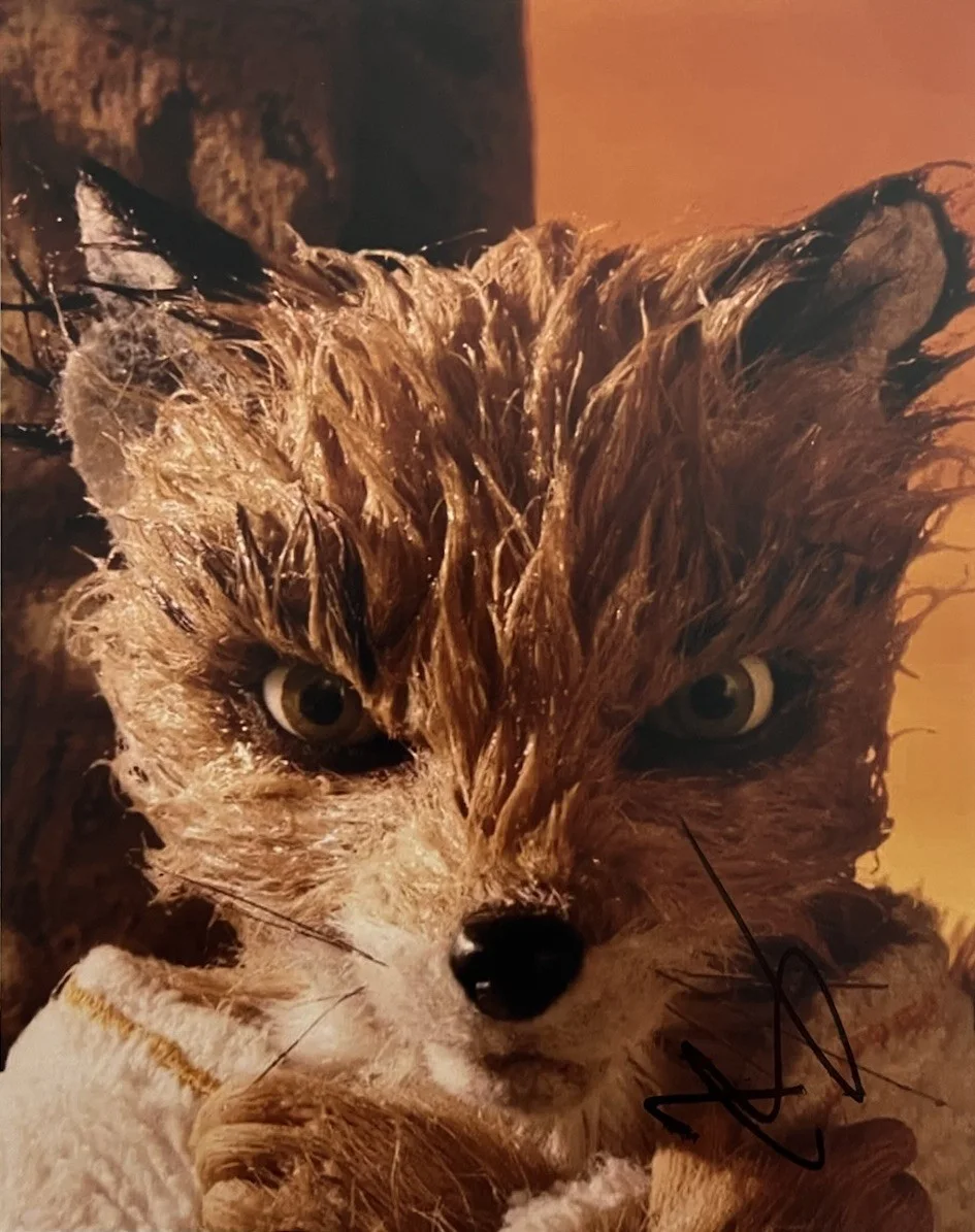 Jason Schwartzman — JASON SCHWARTZMAN SIGNED 8x10 PHOTO FANTASTIC MR FOX AUTOGRAPH AUTHENTIC COA