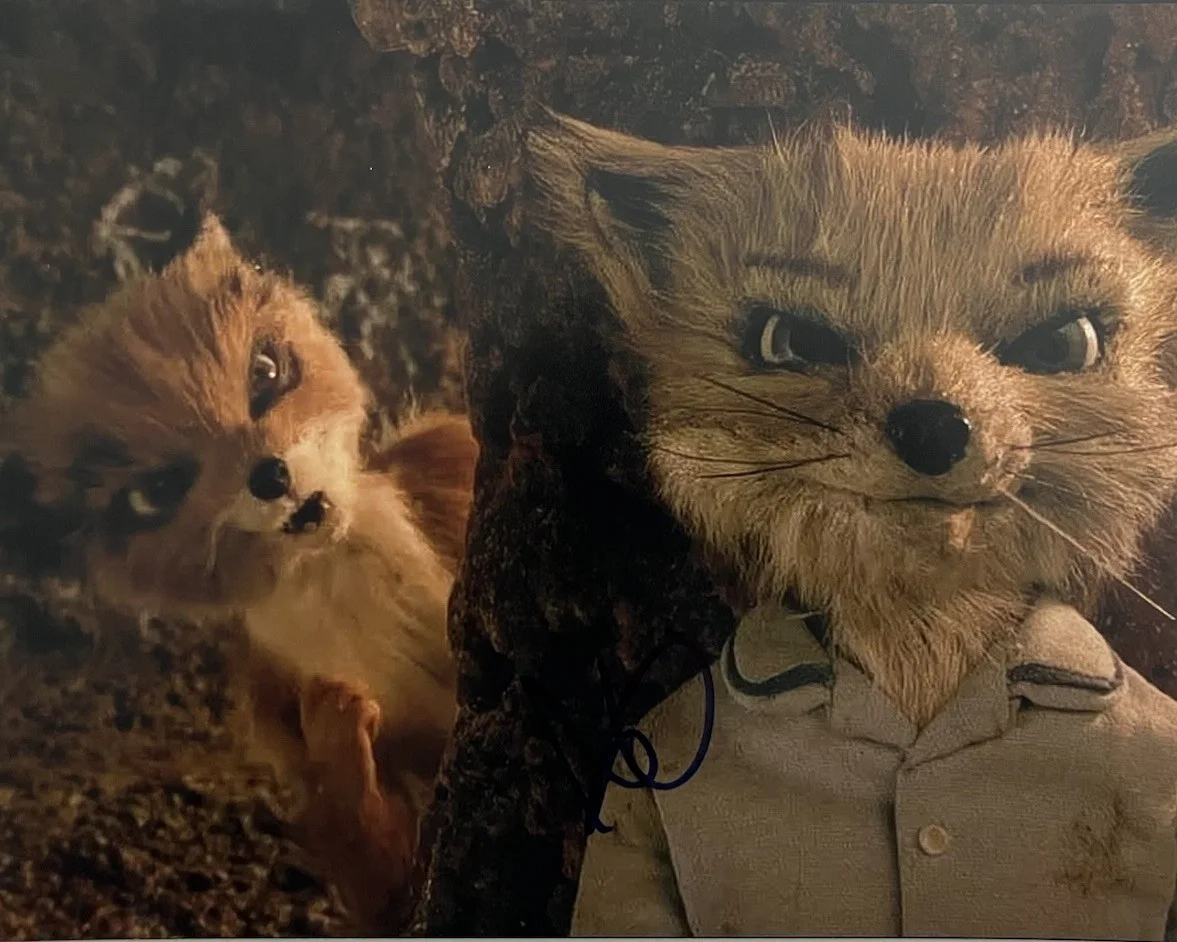 Jason Schwartzman — JASON SCHWARTZMAN SIGNED 8x10 PHOTO FANTASTIC MR FOX AUTOGRAPH AUTHENTIC COA