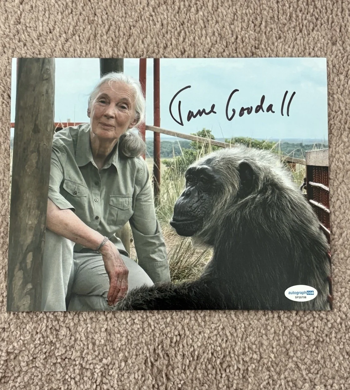 Jane Goodall — Jane Goodall Signed Autographed 8x10 Photo Activist Chimpanzee Expert RIP ACOA, изображение 2