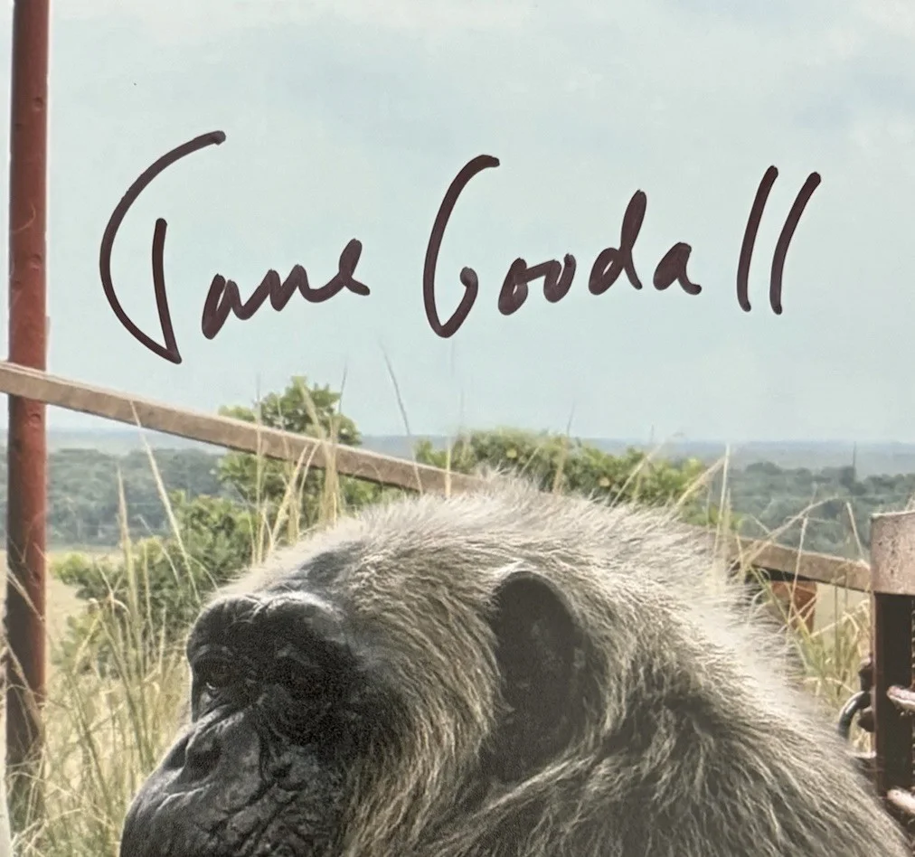 Jane Goodall — Jane Goodall Signed Autographed 8x10 Photo Activist Chimpanzee Expert RIP ACOA, изображение 3