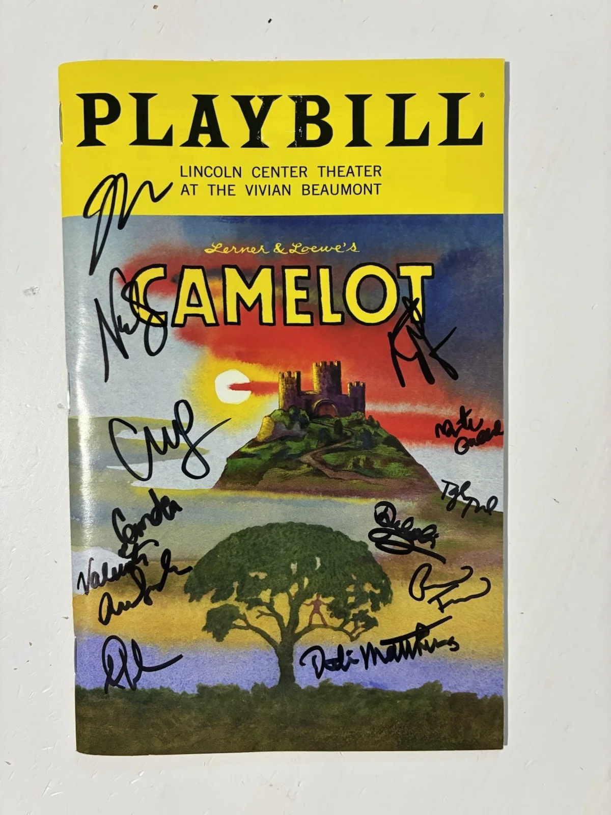 Camelot Cast Signed Playbill Dakin Matthews and More July 2023, изображение 2