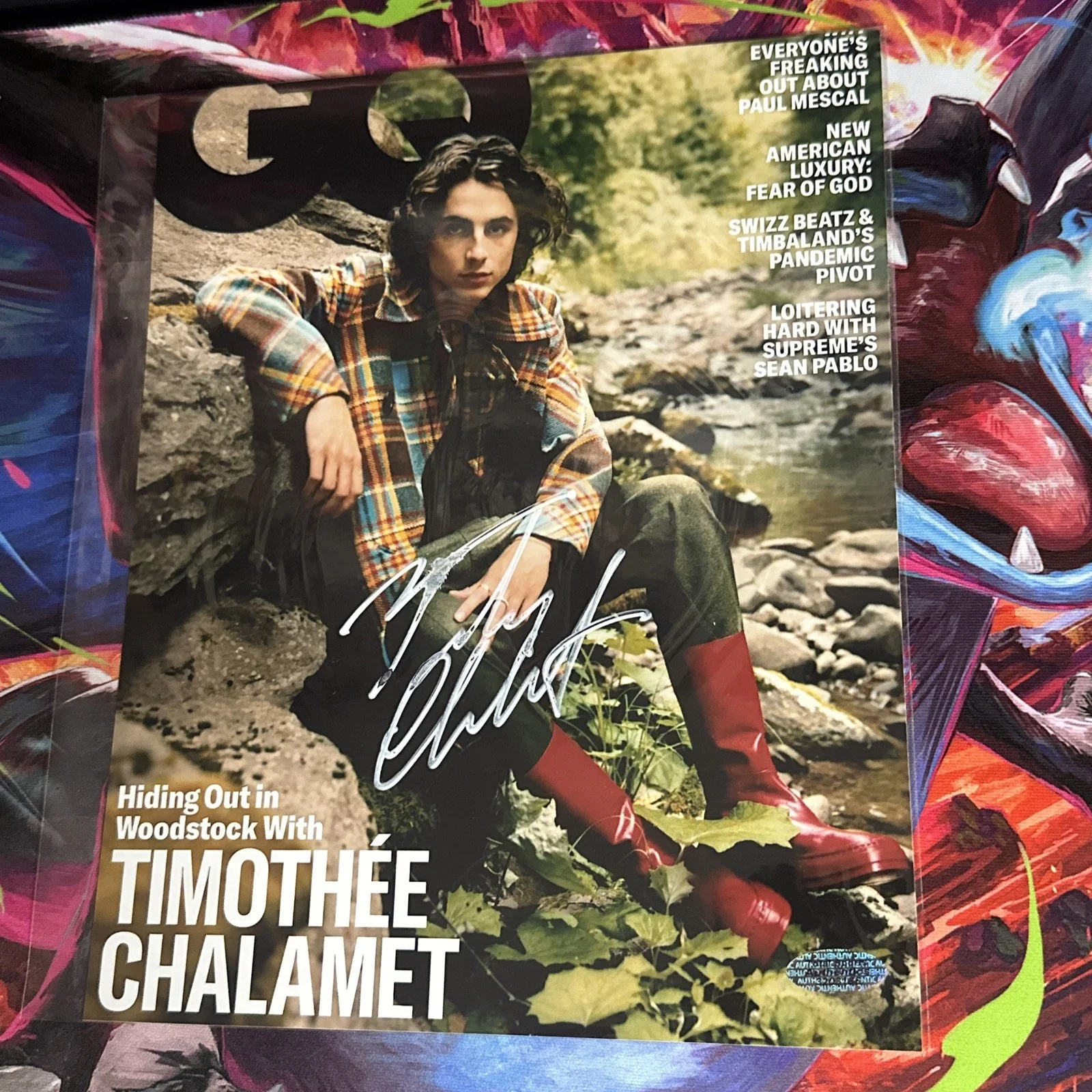 Timothee Chalamet — Timothee Chalamet - Signed 8x10 Photo - With COA - “GQ”, image 2