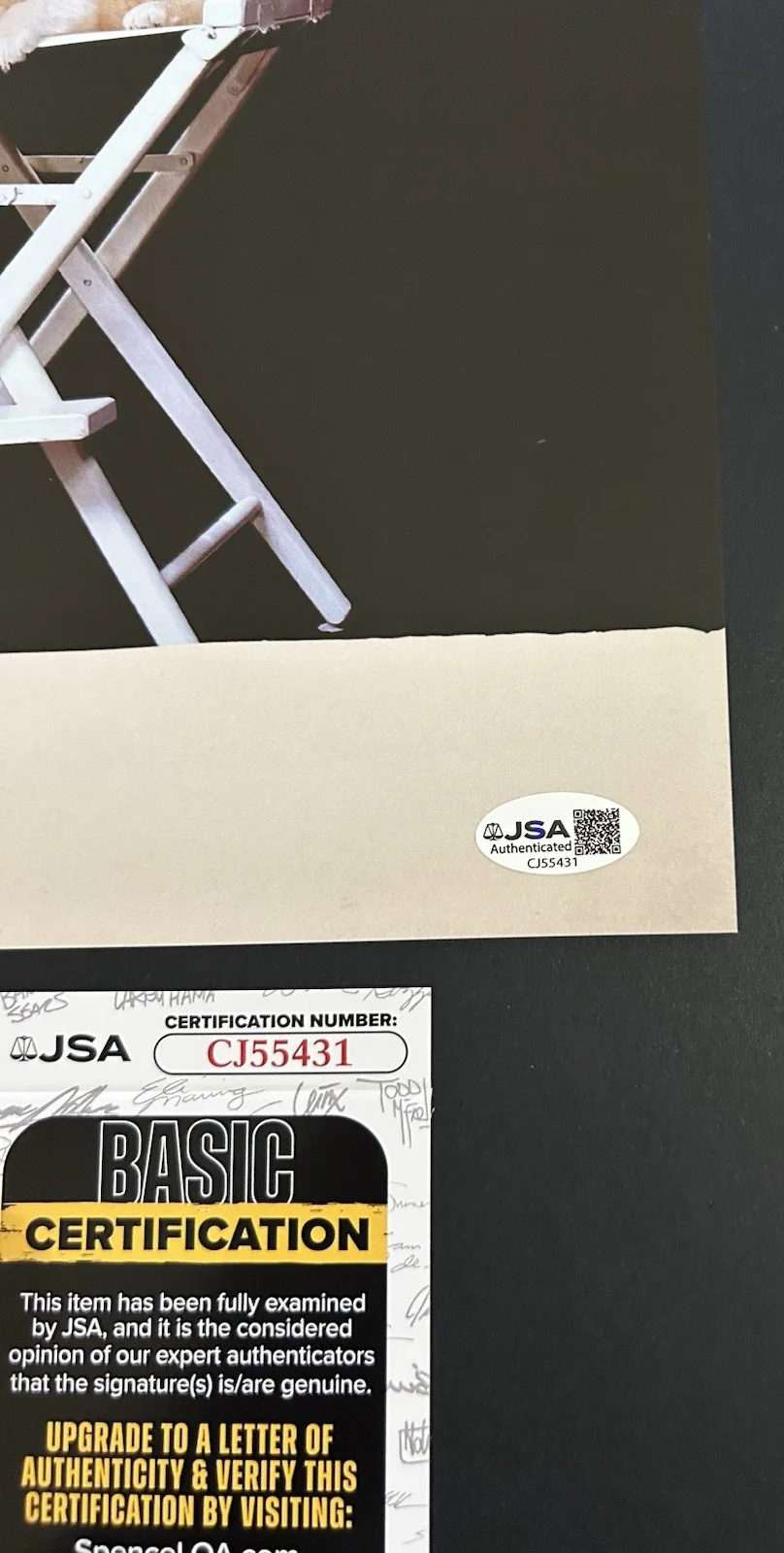 SABRINA CARPENTER "Man's Best Friend" AUTOGRAPHED/SIGNED VINYL INSERT *JSA COA*, image 3