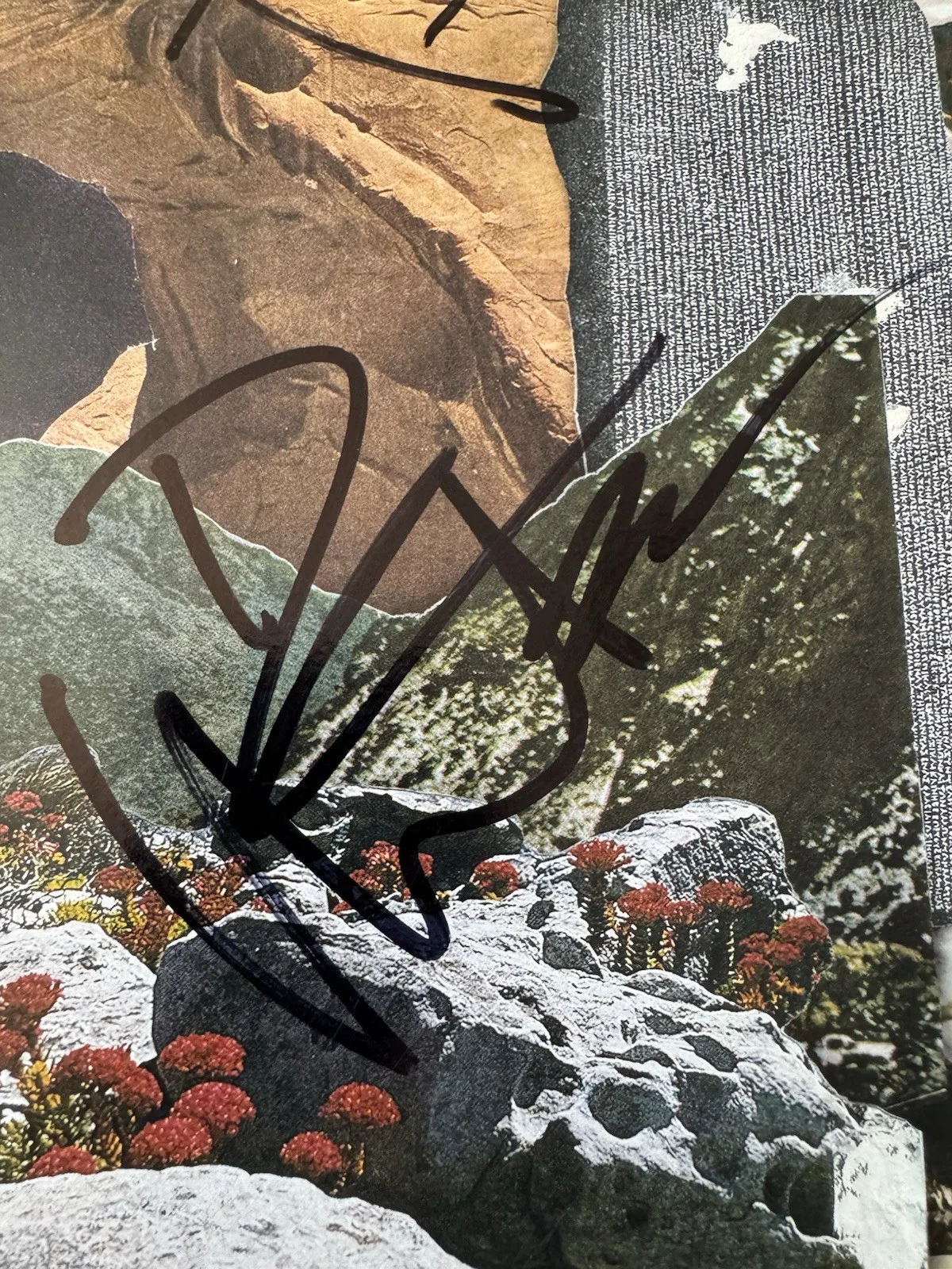 Dave Matthews Band Signed Vinyl Walk Around the Moon JSA COA Autographed By 4, изображение 2