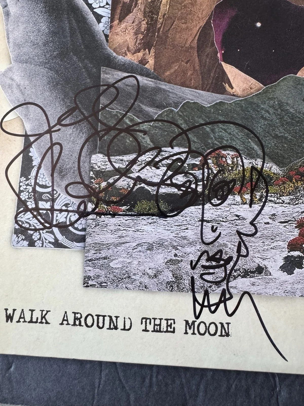 Dave Matthews Band Signed Vinyl Walk Around the Moon JSA COA Autographed By 4, изображение 3
