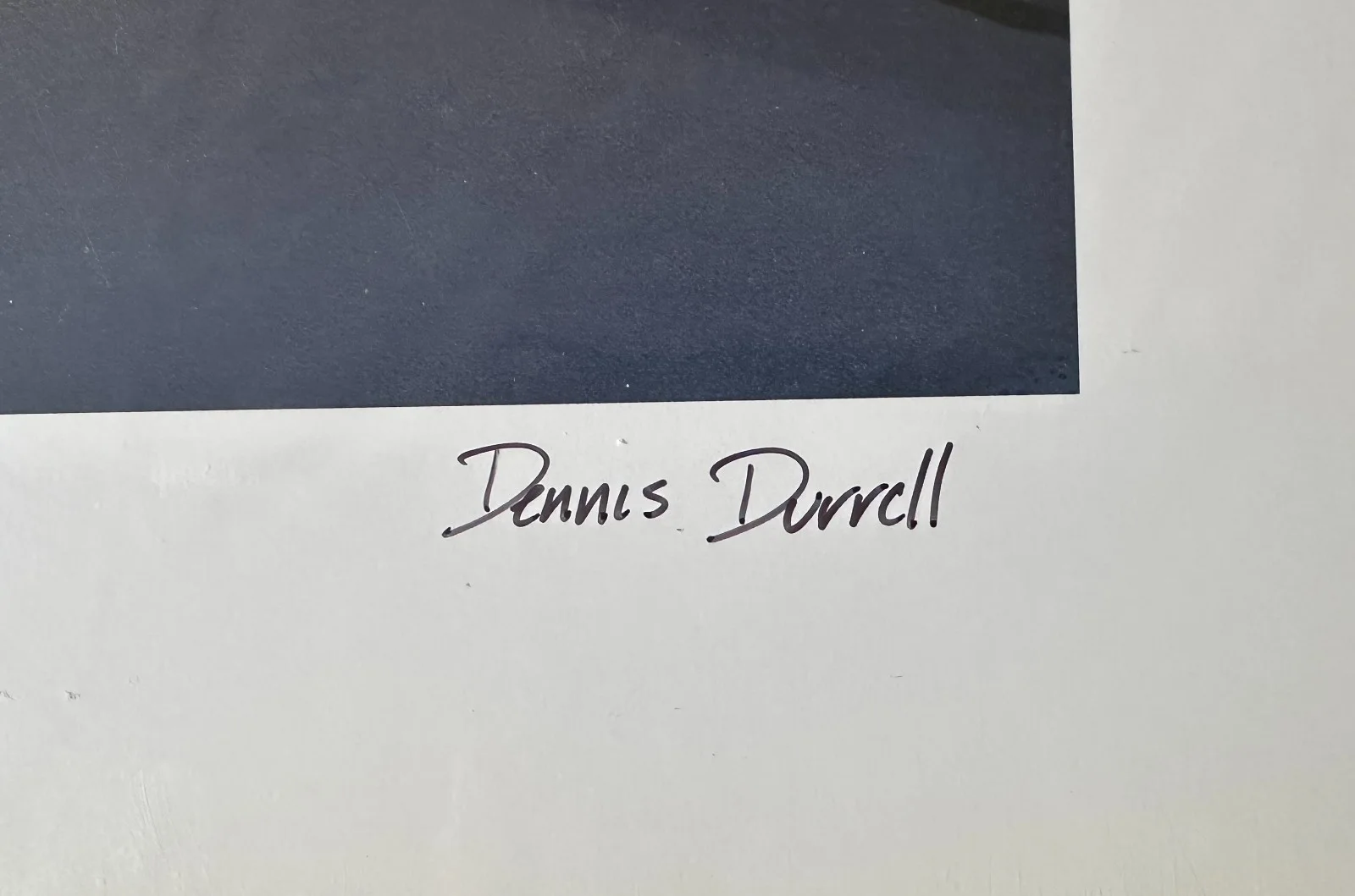 Dennis Durrell — Scooby Doo Durrell SIGNED Ltd Ed of 500 Lithograph WB HB - House Swarming OH, image 3