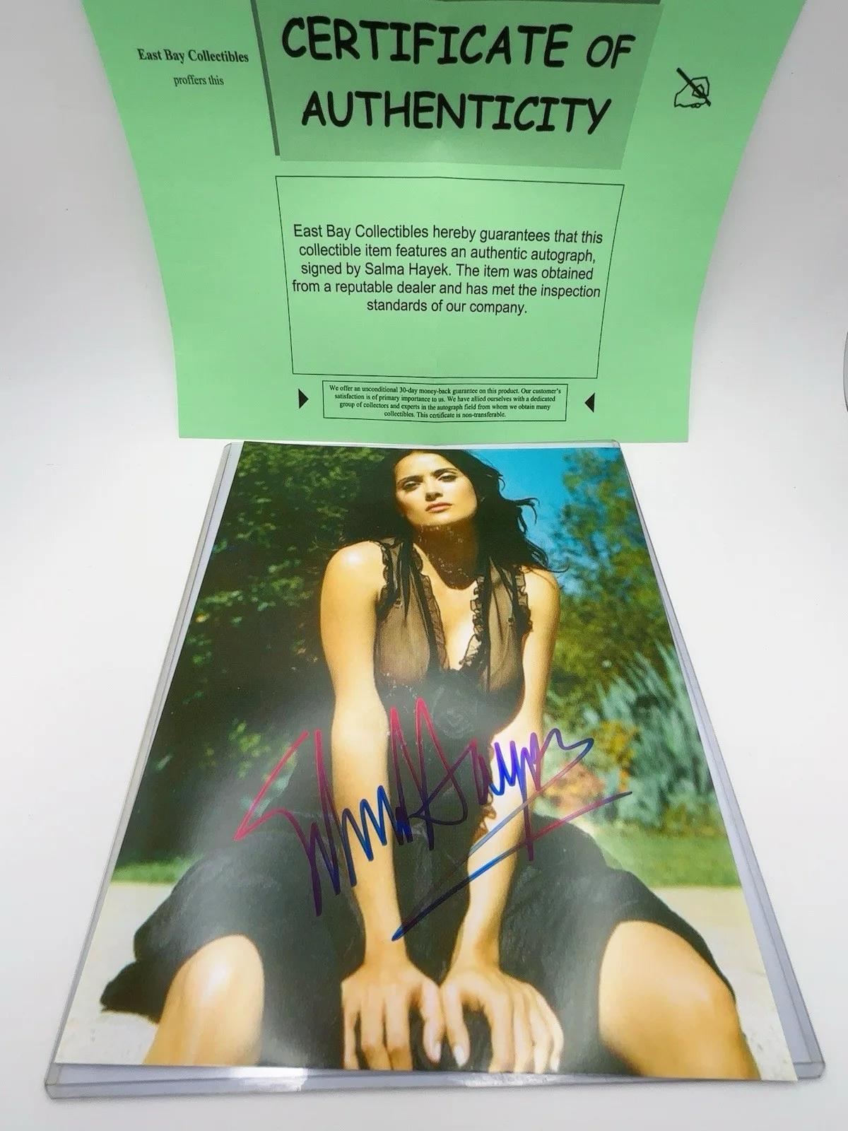 Salma Hayek — * SALMA HAYEK * gorgeous, sexy signed 8X10 photo authenticated