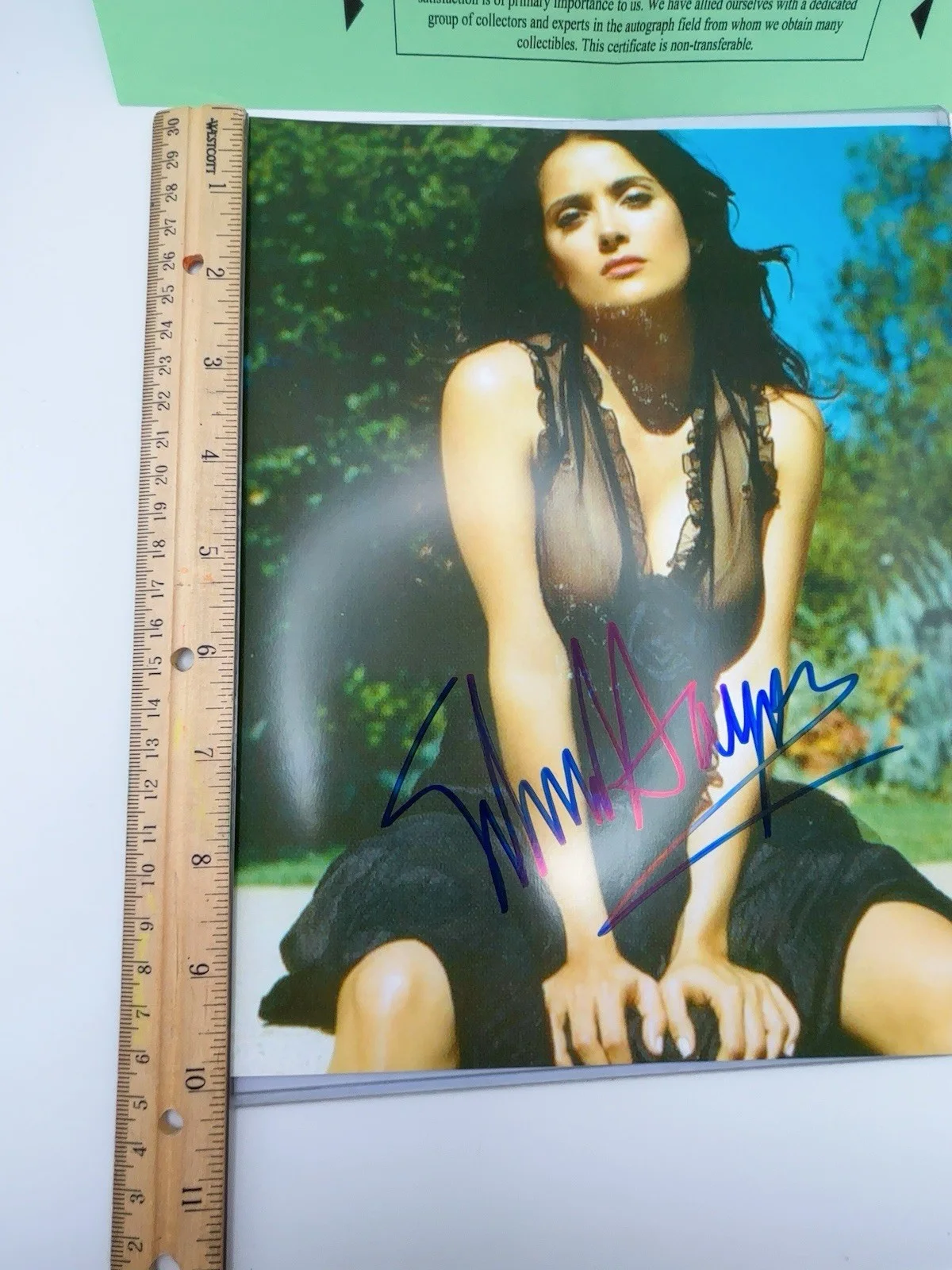 Salma Hayek — * SALMA HAYEK * gorgeous, sexy signed 8X10 photo authenticated, изображение 3
