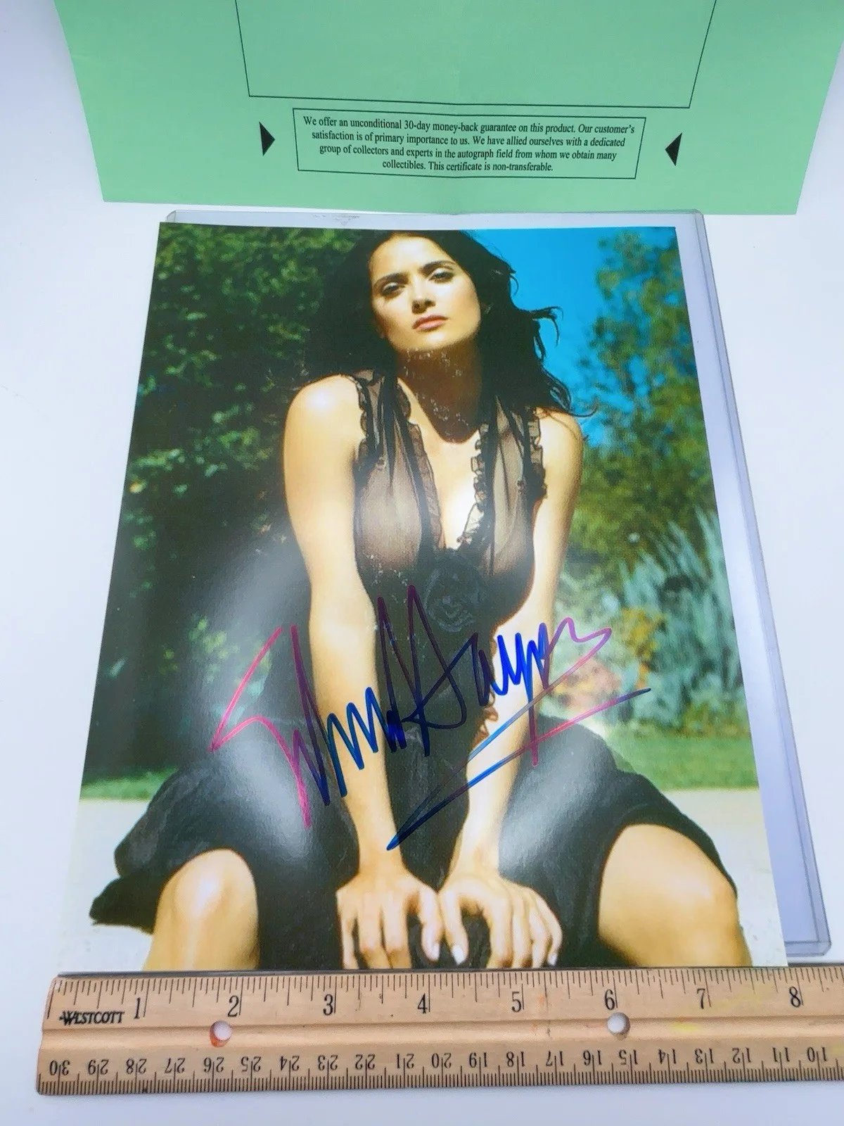 Salma Hayek — * SALMA HAYEK * gorgeous, sexy signed 8X10 photo authenticated, изображение 4