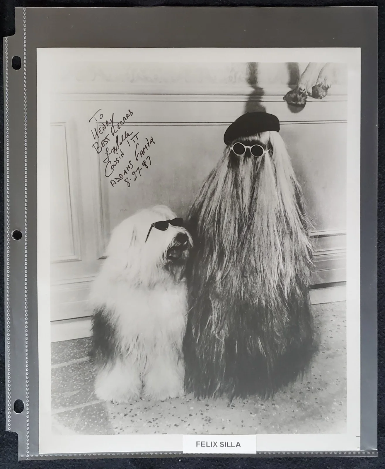 Felix Silla Cousin Itt The Addams Family Autograph 8x10 Photograph, изображение 3