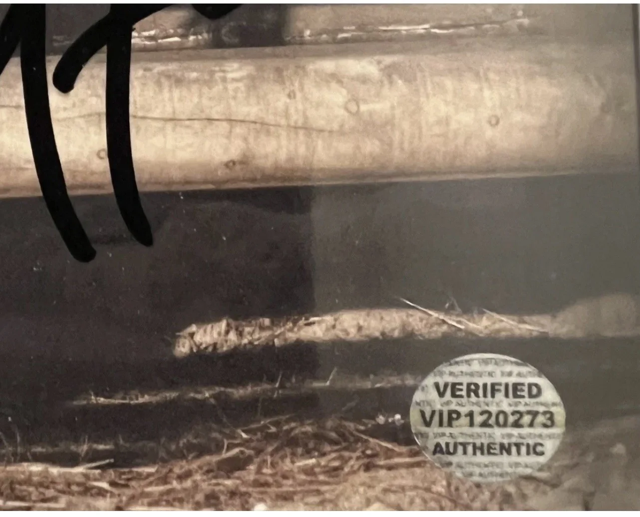 Yellowstone Beth & Rip Kelly Reilly & Cole Hauser Signed Photo With COA Dutton, изображение 5