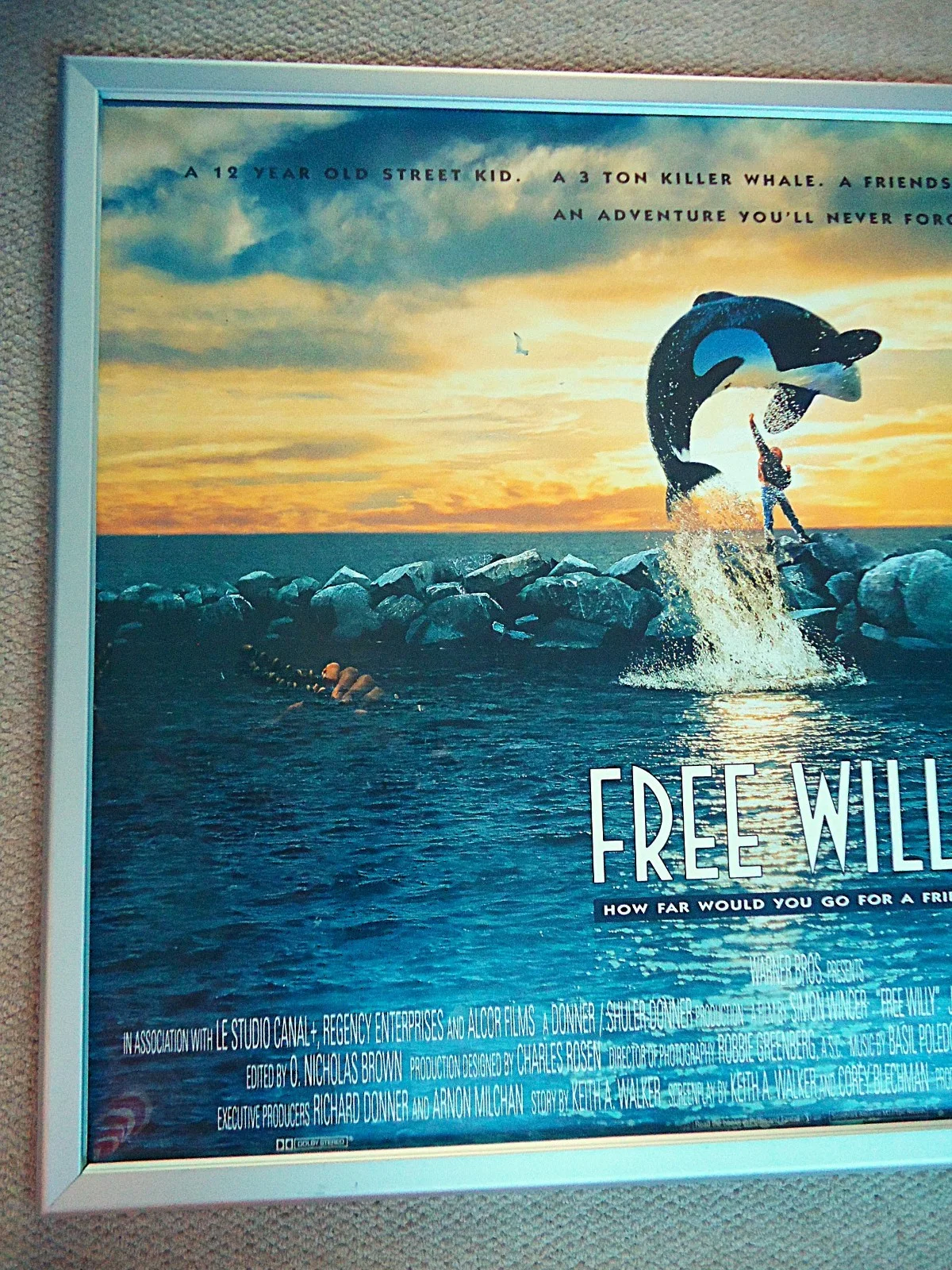 FREE WILLY UK QUAD MOVIE FILM POSTER 1993 JASON JAMES RICHTER ORIGINAL RARE GEM, изображение 4