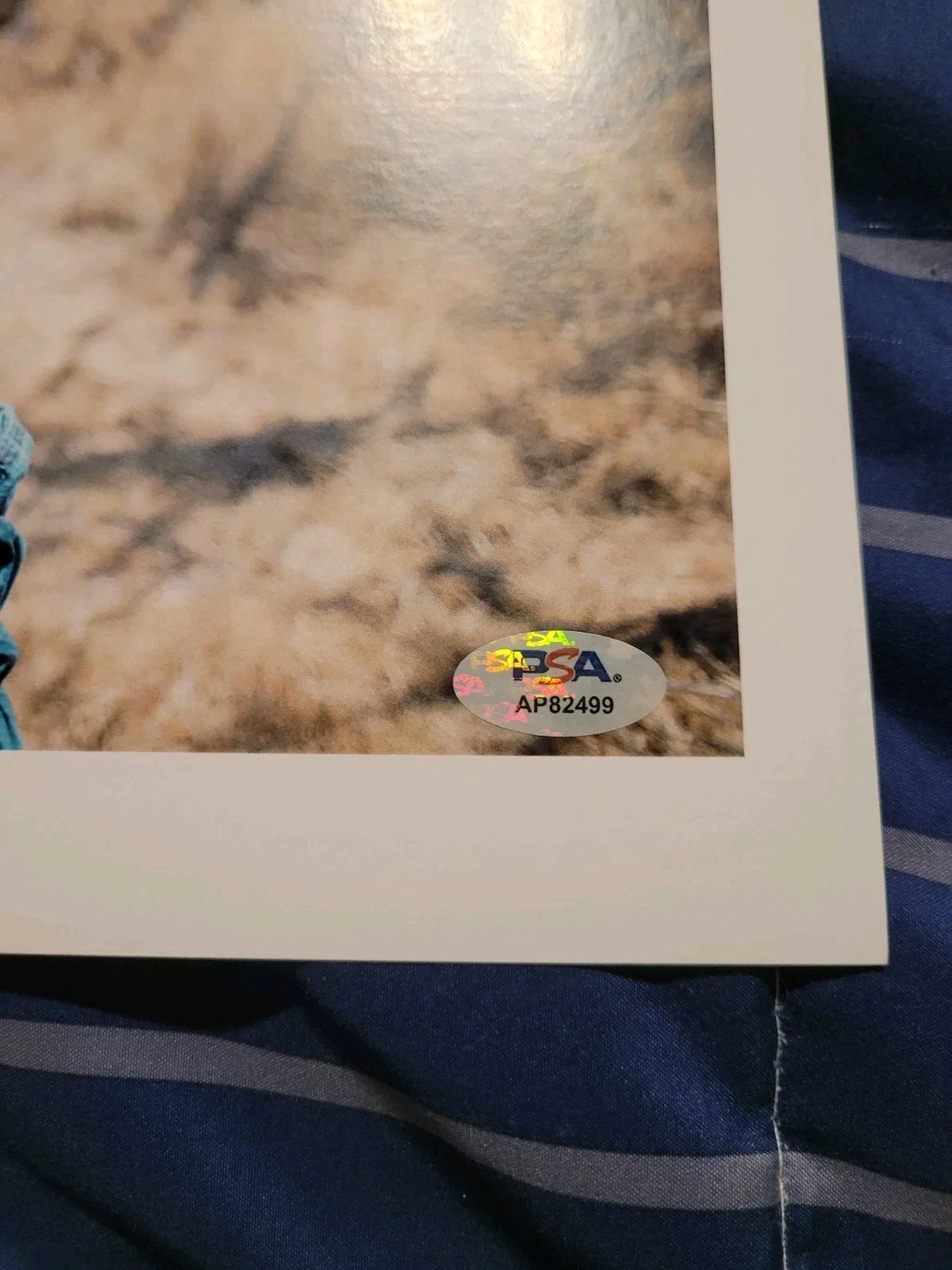 Jessie Reyez Signed autograph 8x10 PSA COA Full Signature Eminem, изображение 5