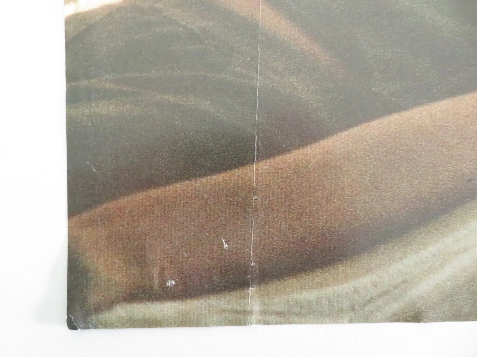 ALIEN 3 ITALIAN FOTOBUSTA POSTER SIGOURNEY WEAVER CHARLES DANCE 1992, изображение 4