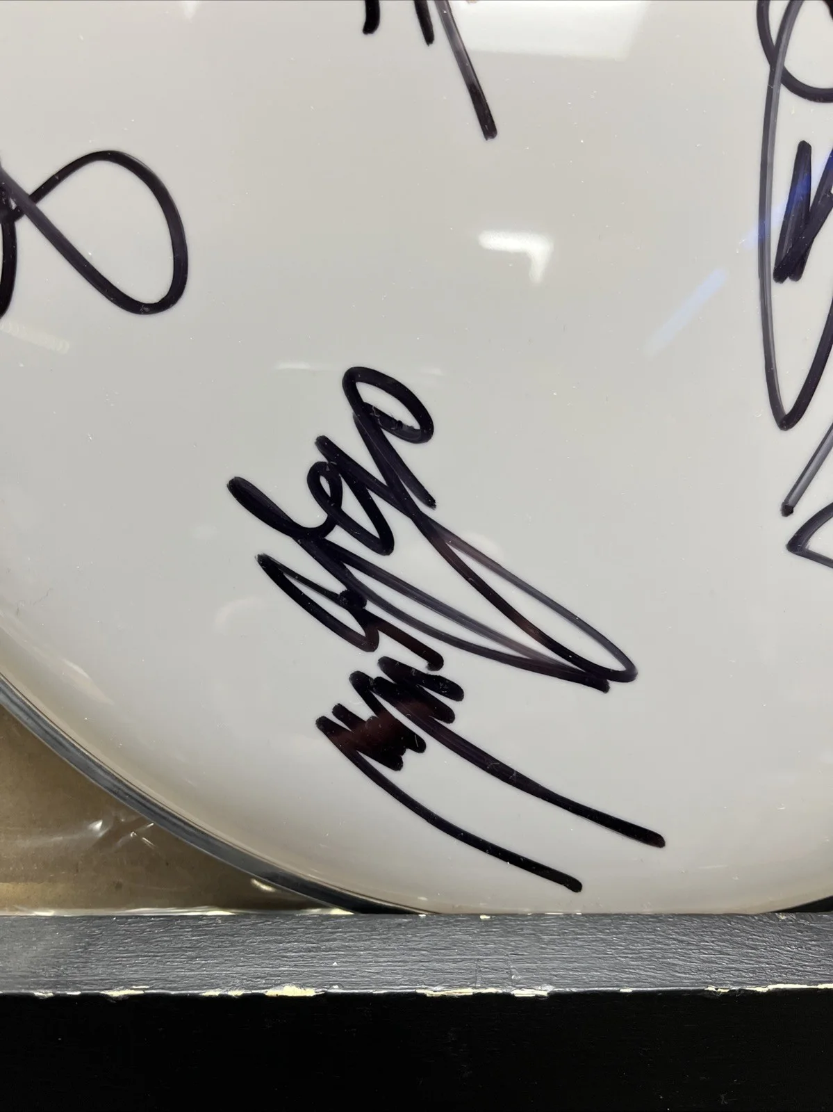 CRADLE OF FILTH AUTOGRAPHED DRUM HEAD., image 3