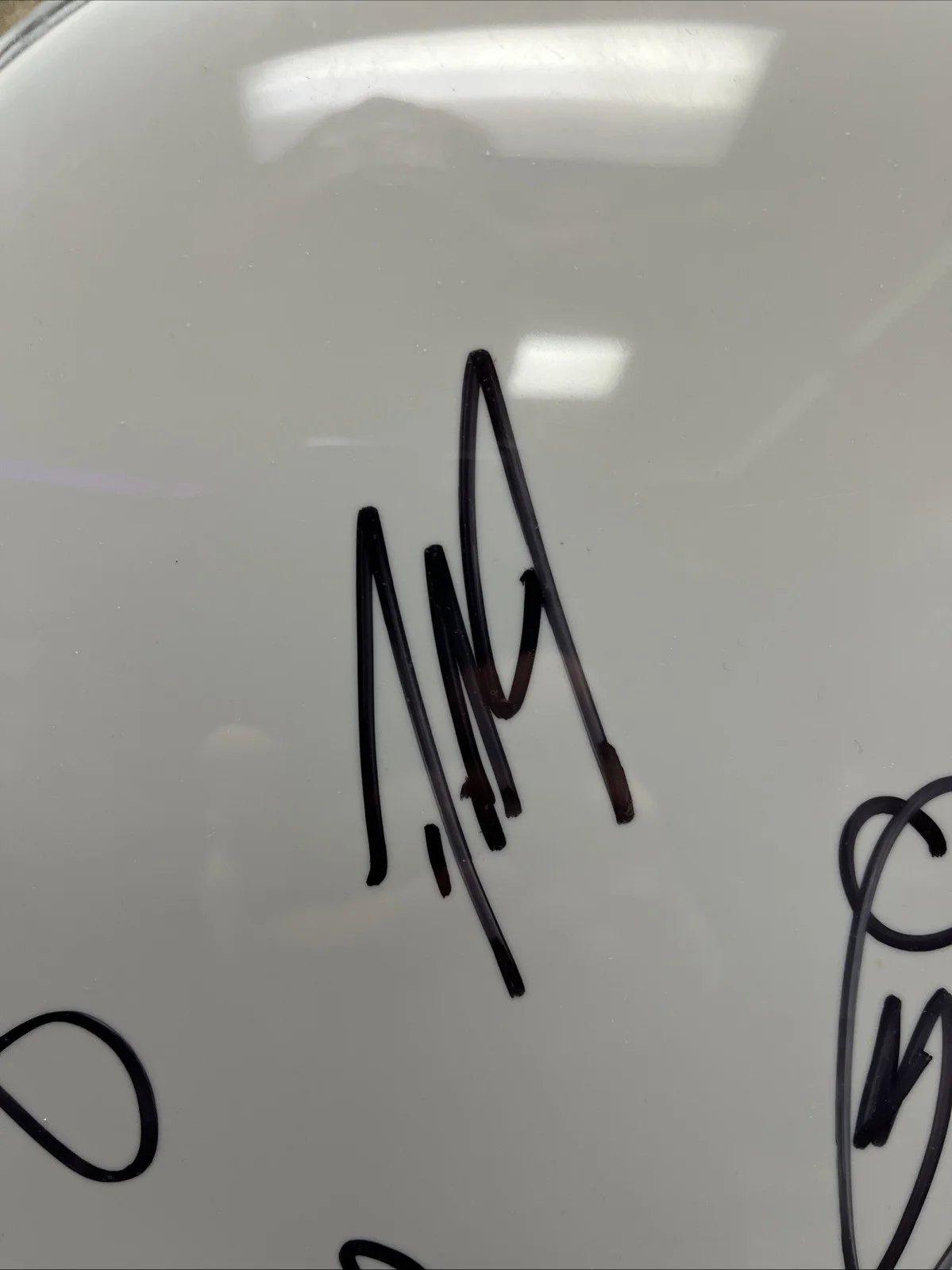 CRADLE OF FILTH AUTOGRAPHED DRUM HEAD., image 4
