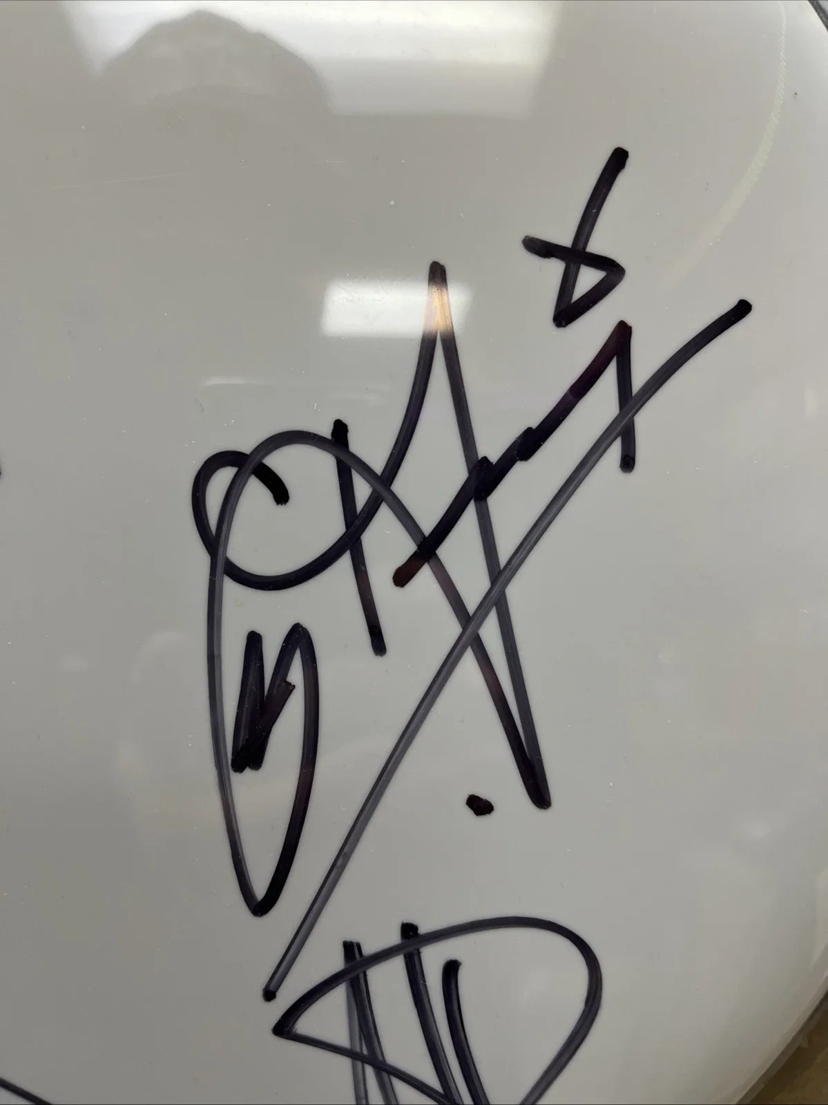 CRADLE OF FILTH AUTOGRAPHED DRUM HEAD., image 5