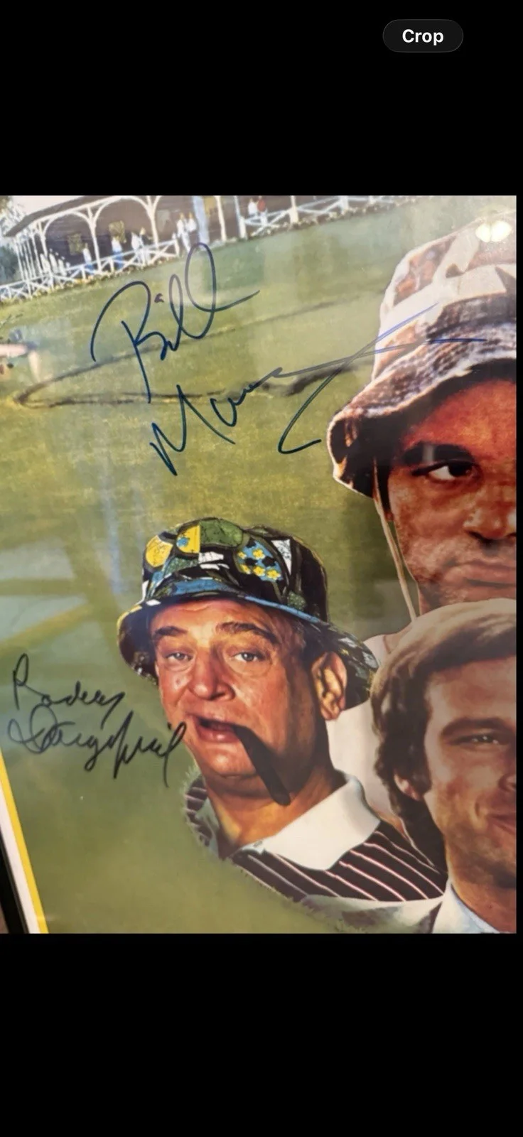 Signed Caddyshack Poster-7 Signatures, изображение 2