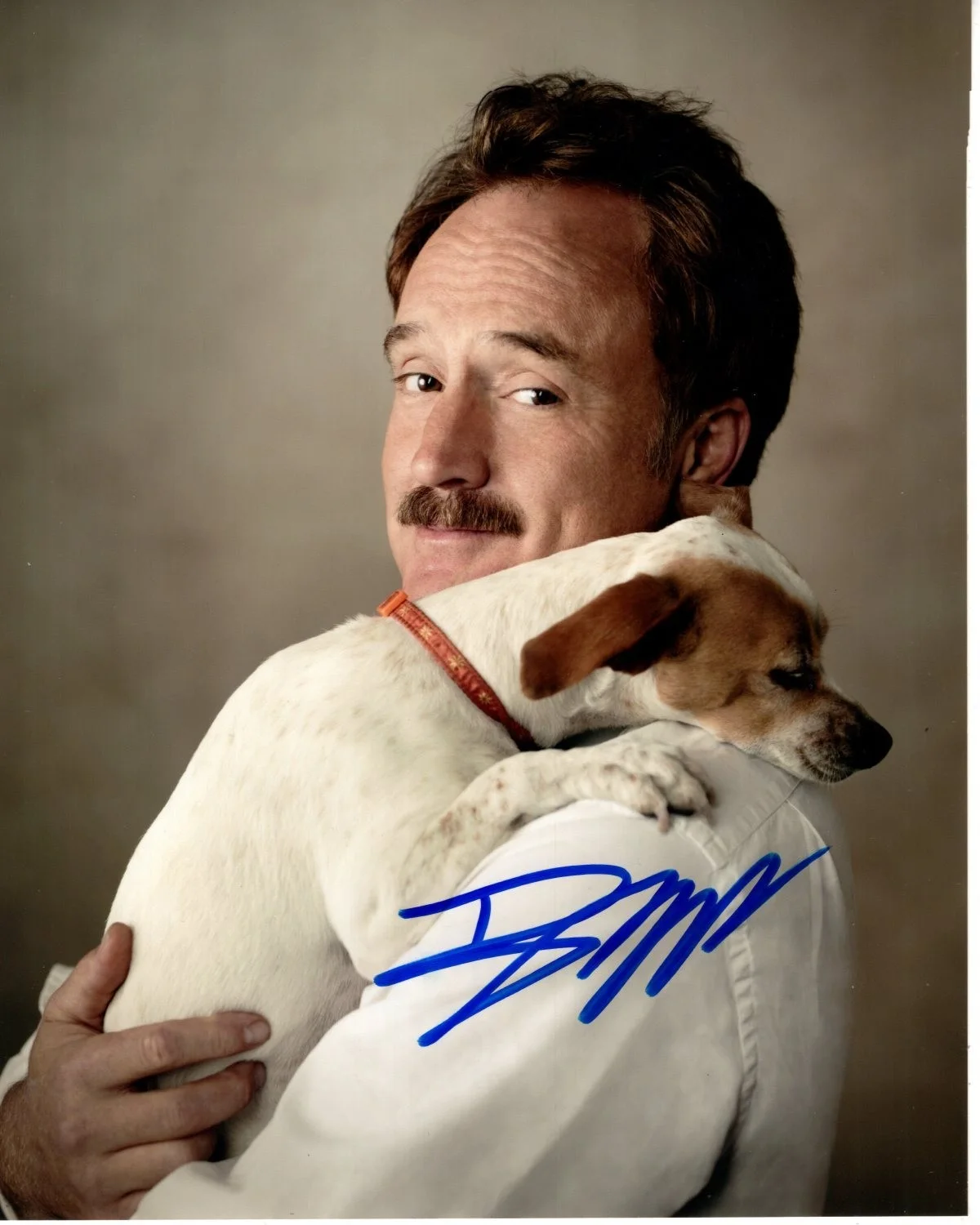 Bradley Whitford — BRADLEY WHITFORD Signed Autographed 8x10 Photo w/ Hologram COA