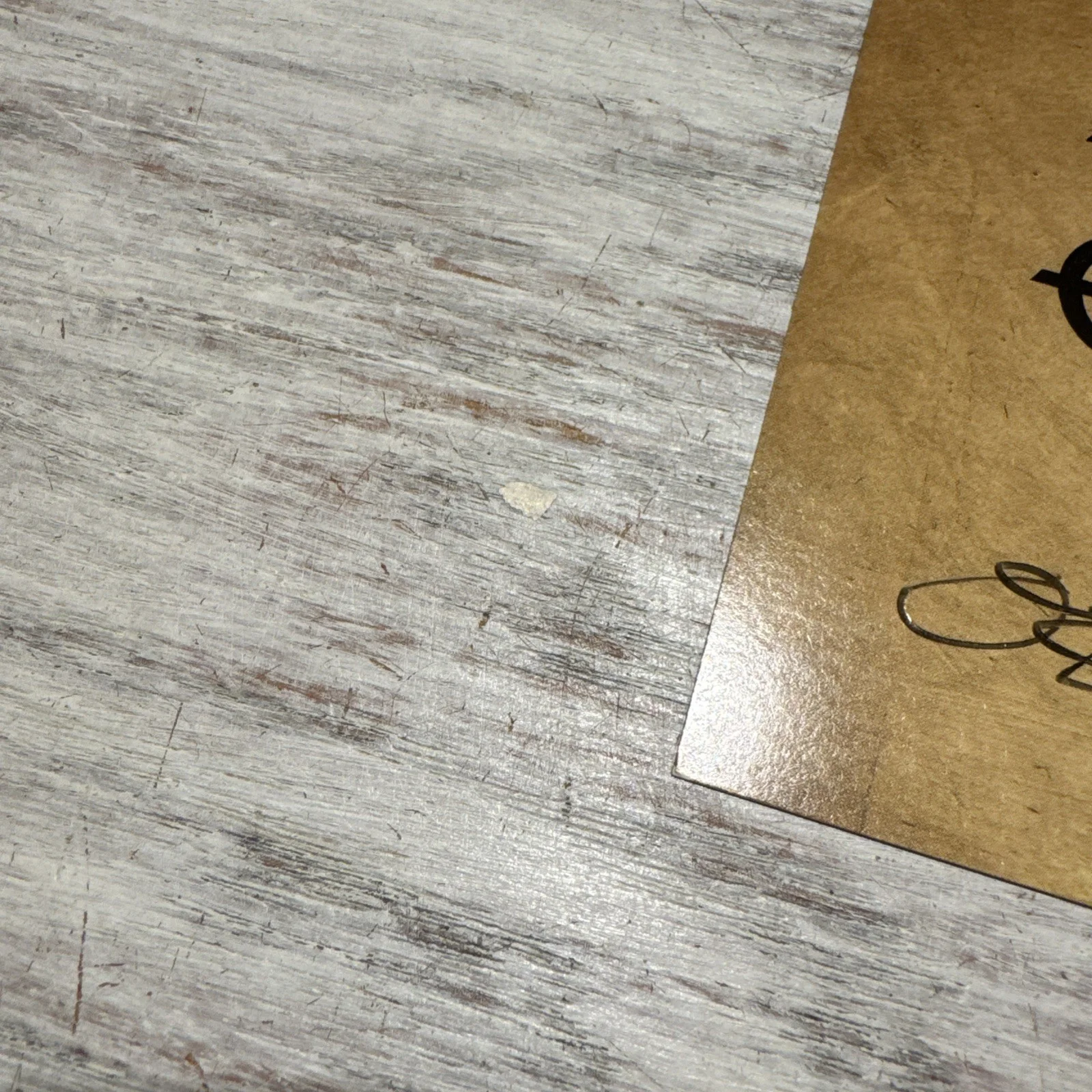 OZZY OSBOURNE SIGNED Patient Number 9 AUTOGRAPH CD INSERT NOT A VINYL ROCK MUSIC, изображение 3