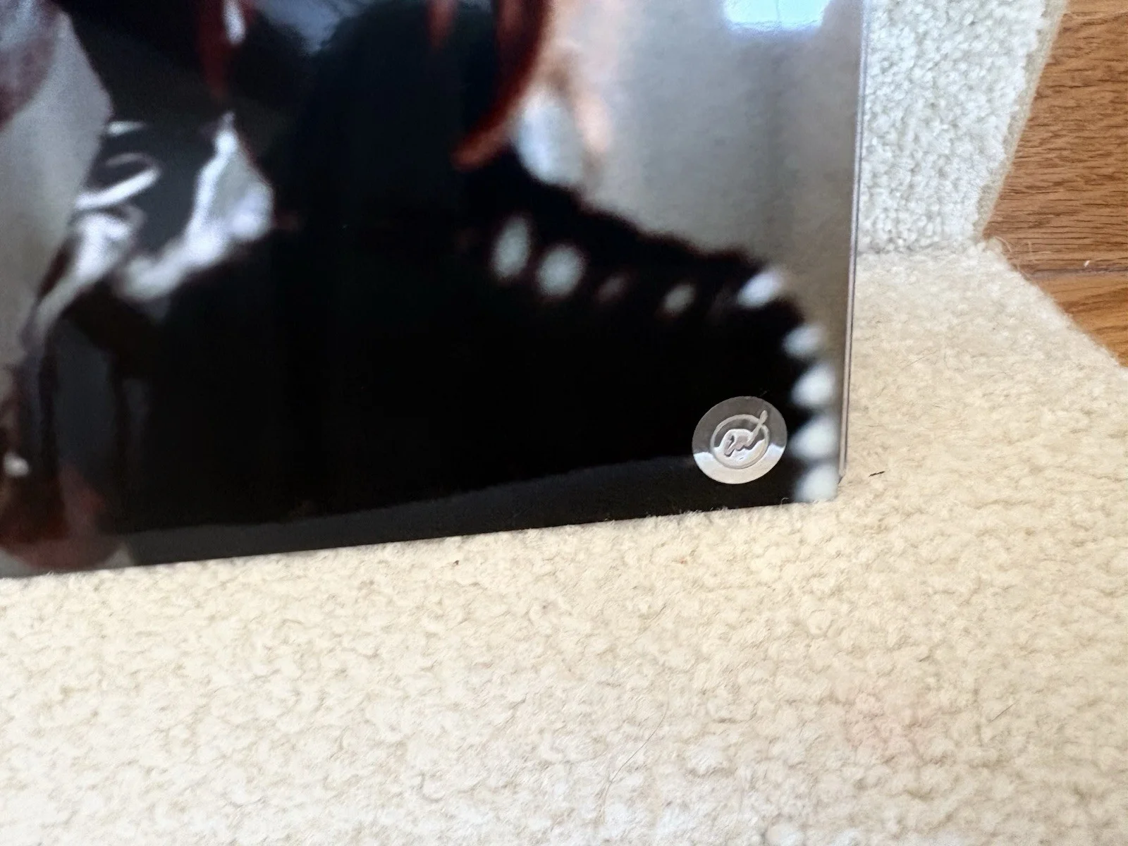Ray Park Snake Eyes — Ray Park "Snake Eyes" GI Joe Autographed 8x10 COA #2, image 3