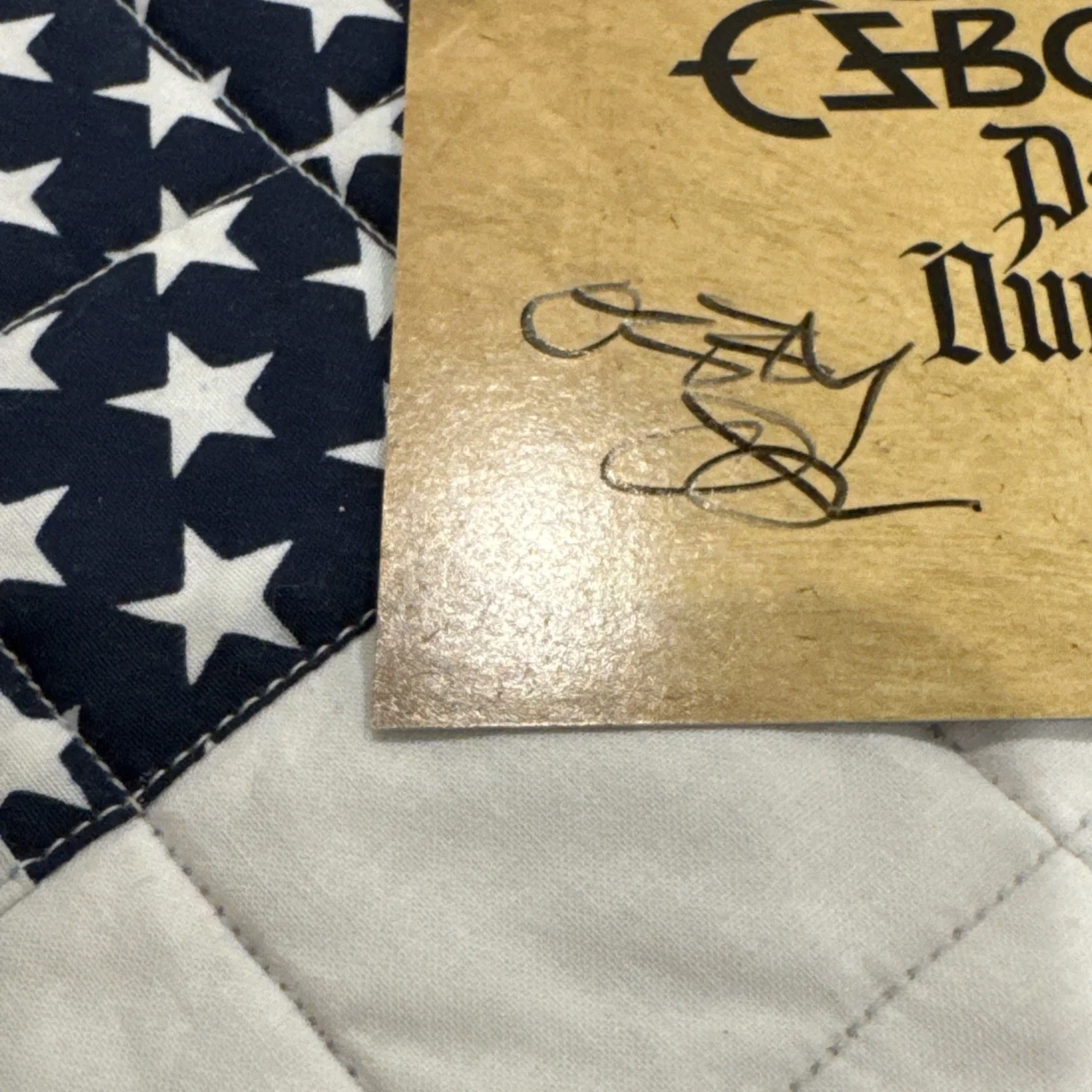 OZZY OSBOURNE SIGNED Patient Number 9 AUTOGRAPH CD INSERT NOT A VINYL ROCK MUSIC, изображение 2