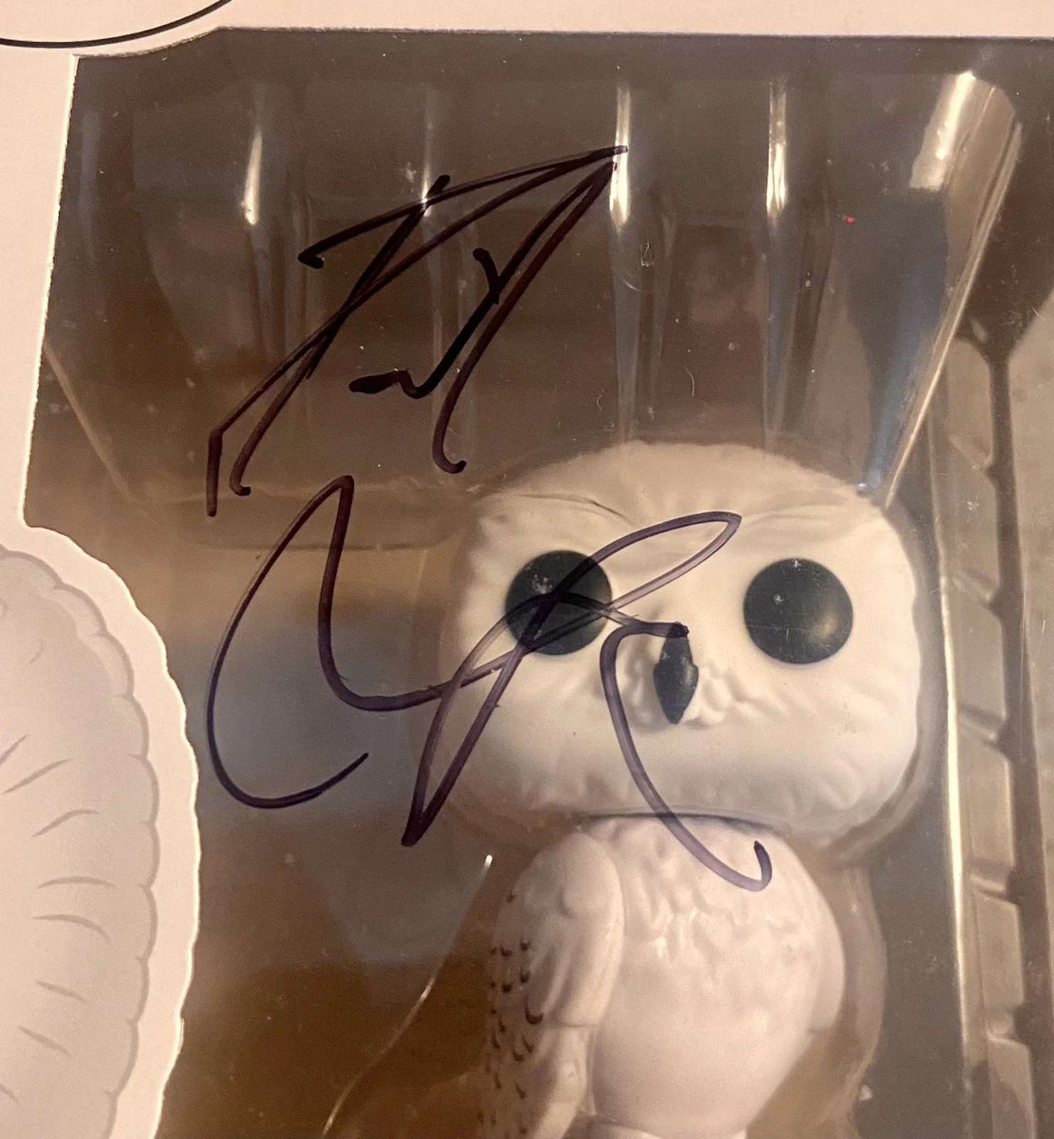 Daniel Radcliffe — Daniel Radcliffe SIGNED Harry Potter Hedwig Owl Funko Pop Figure 76- JSA COA, изображение 2