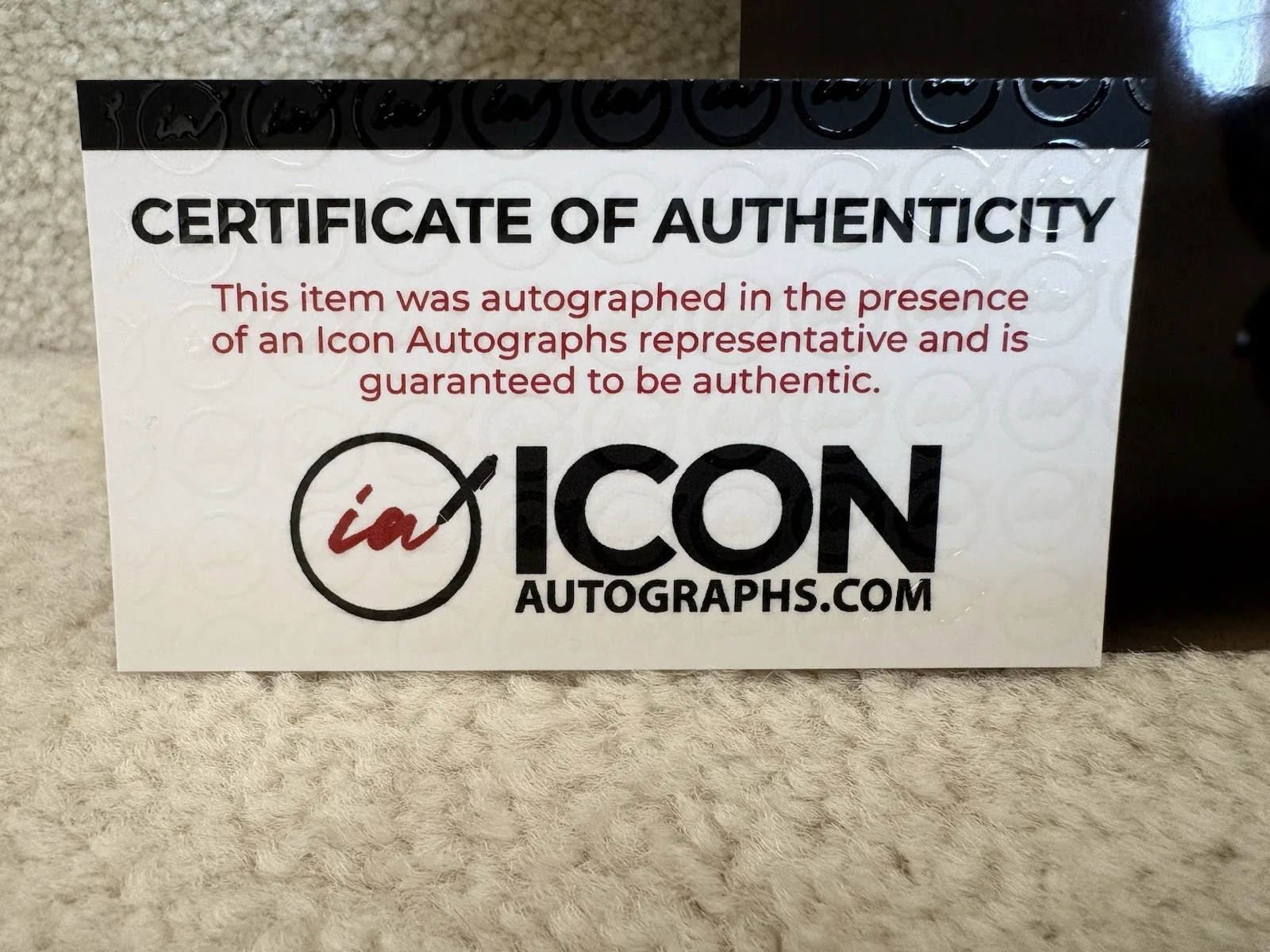 Ray Park Snake Eyes — Ray Park signed "Snake Eyes" GI Joe Autographed 8x10 COA, image 4