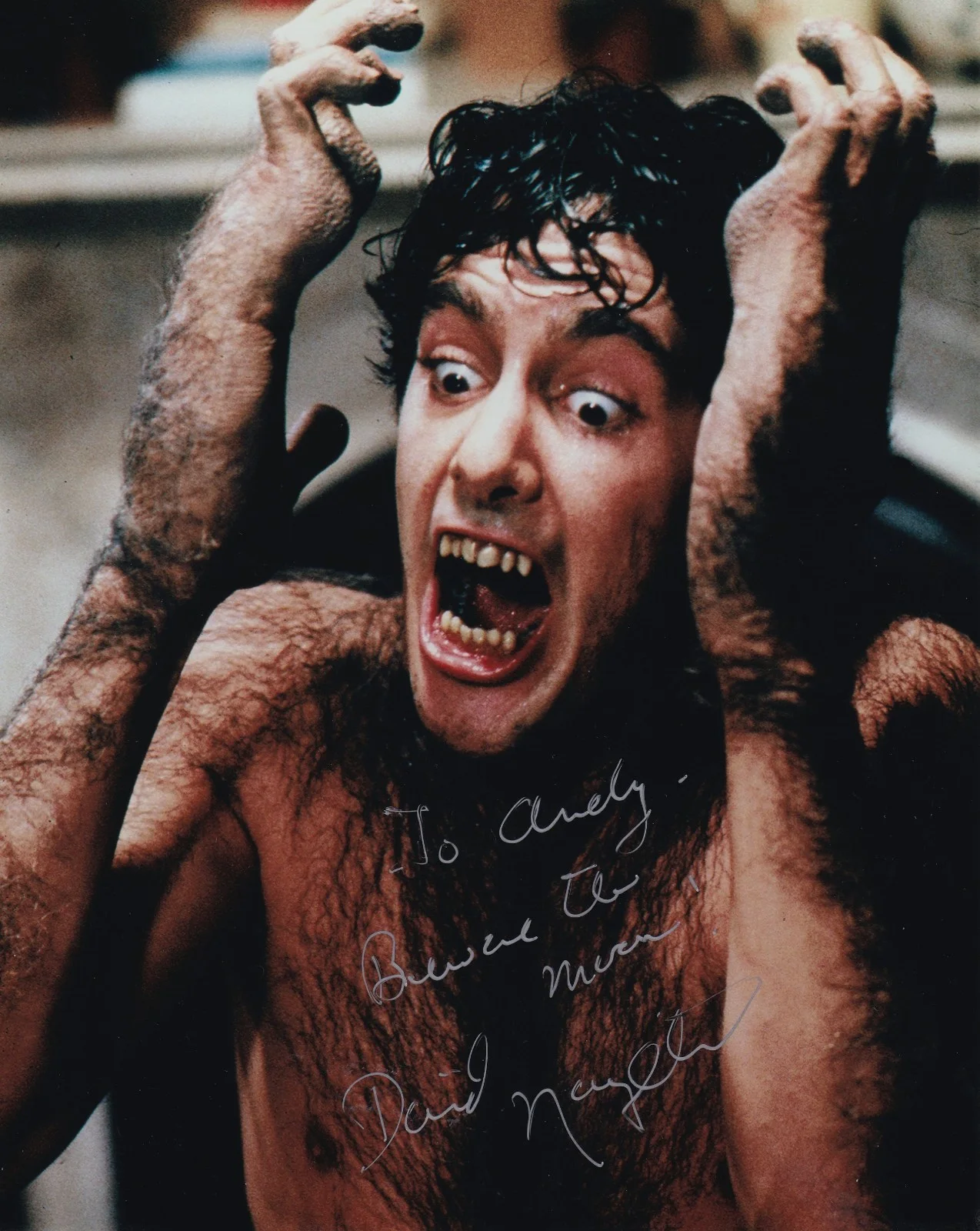 David Naughton — David Naughton An American Werewolf In London Signed 8x10 Photo COA