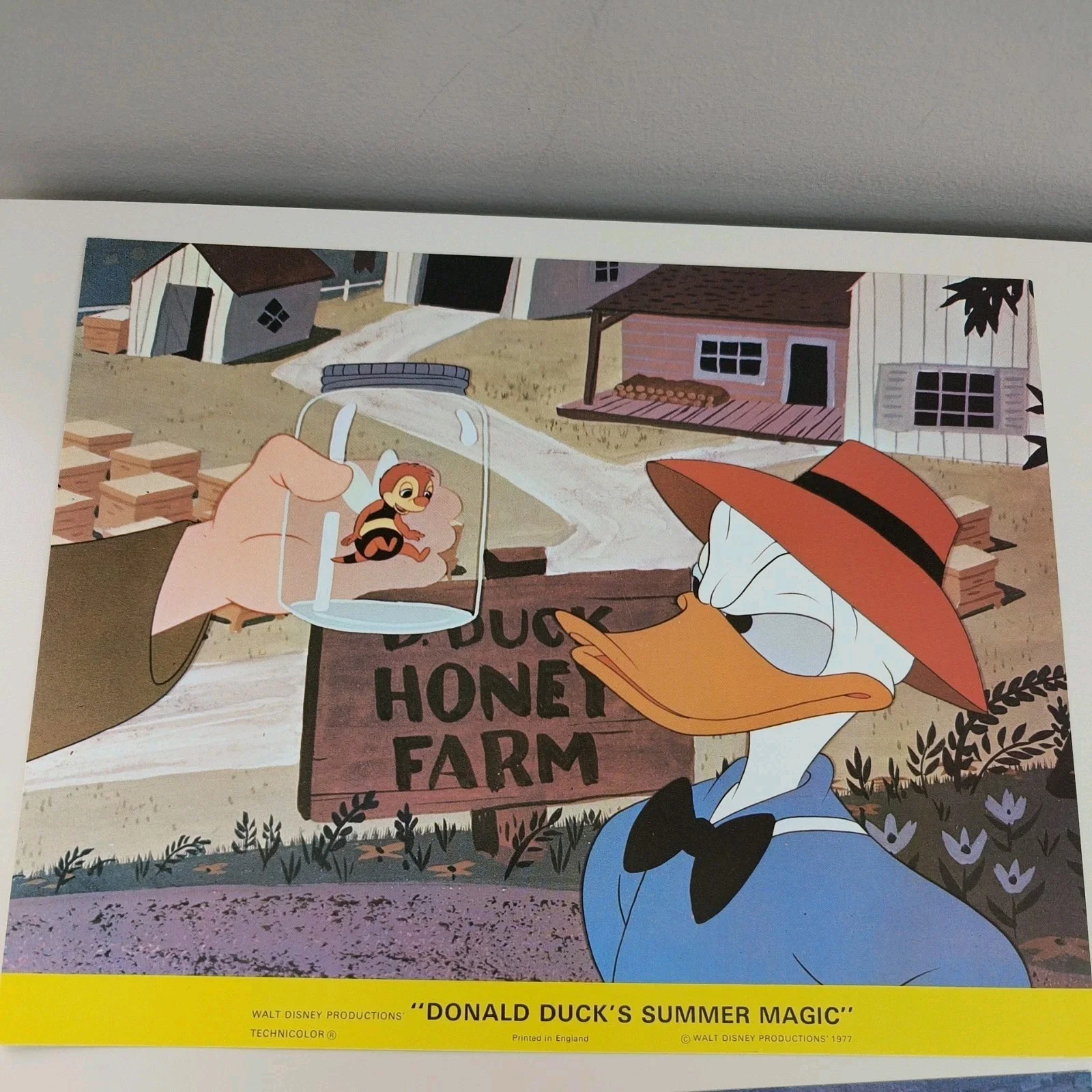 Donald Duck Summer Magic Lobby Cards Stills /Front House Cartoons 1977 Vintage, изображение 4