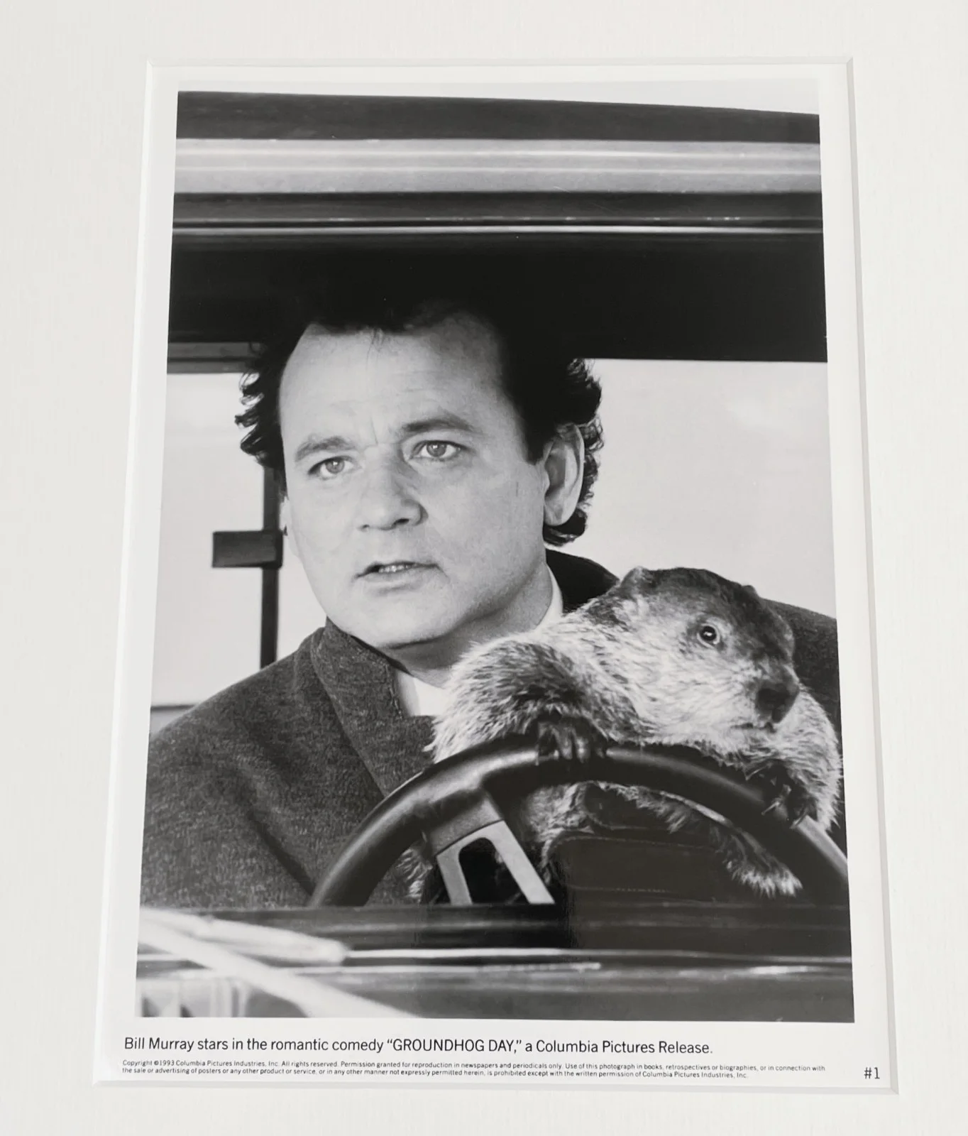 Groundhog Day Photo Framed Original 7X9 Inch B&W Press Publicity Still, image 2