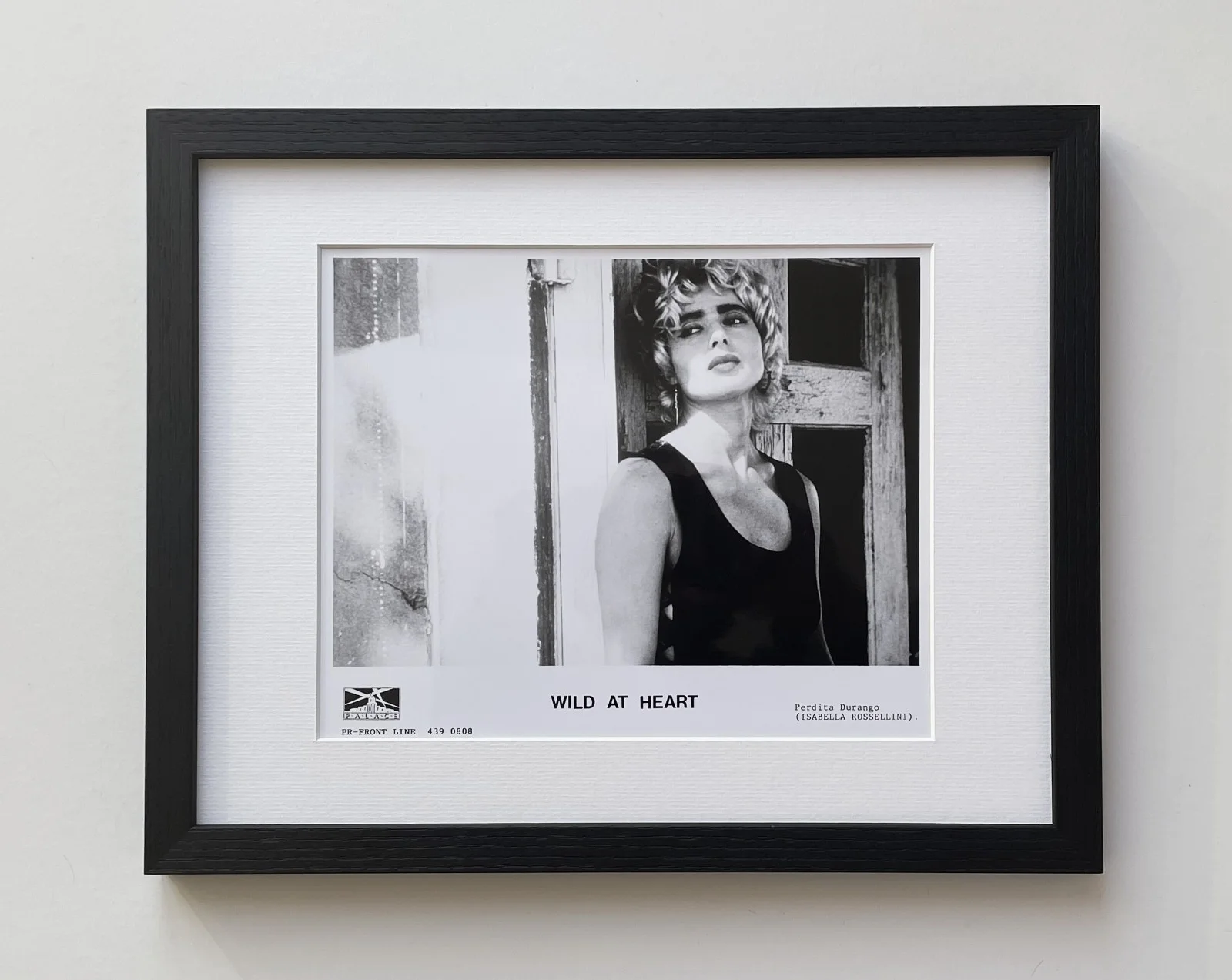 Wild At Heart Photo Framed Original 8X10 Inch B&W Press Publicity Still, изображение 2