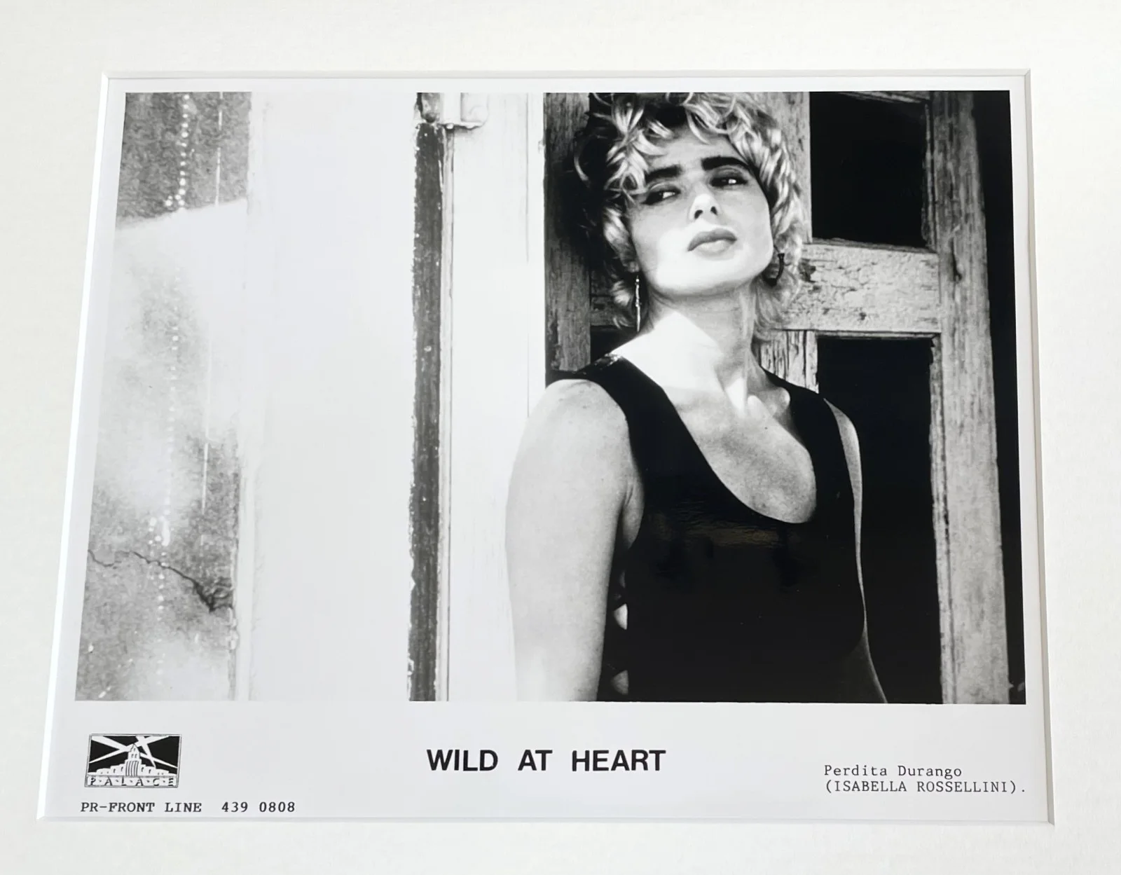 Wild At Heart Photo Framed Original 8X10 Inch B&W Press Publicity Still, изображение 3