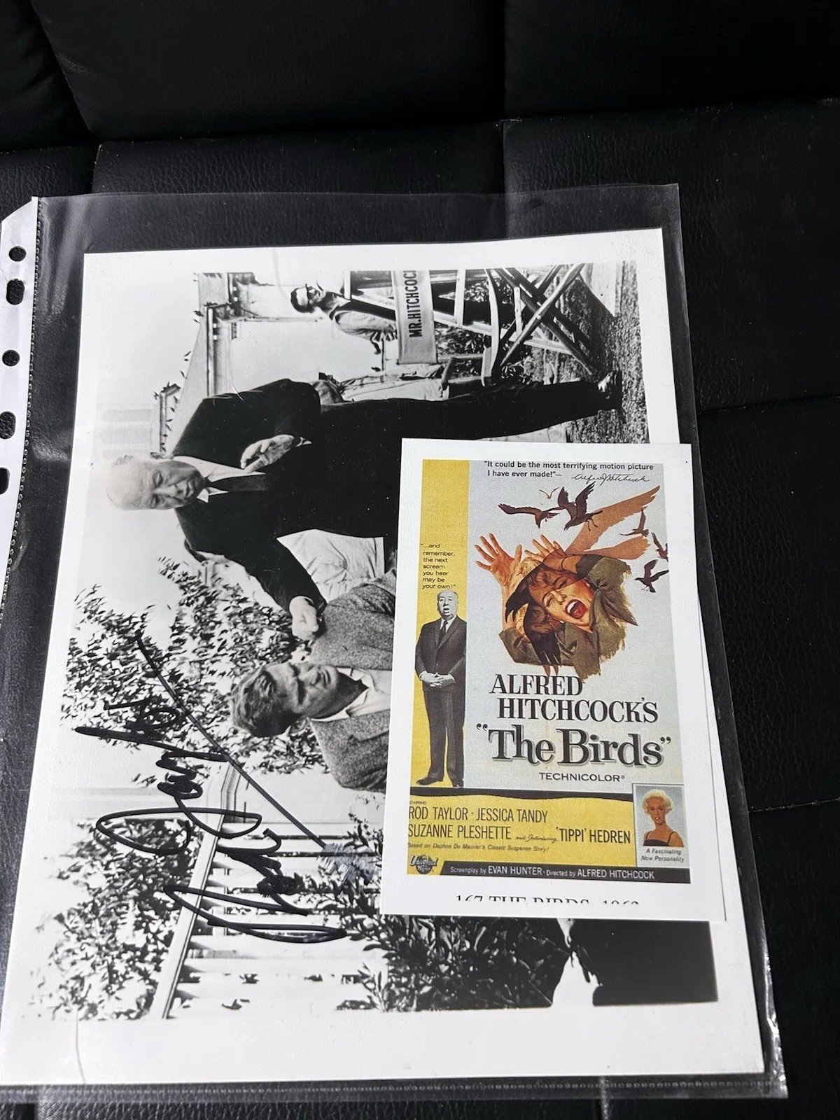 Autographed Photo Of “The Birds” Set, Alfred Hitchcock Signed By Rod Taylor, изображение 2