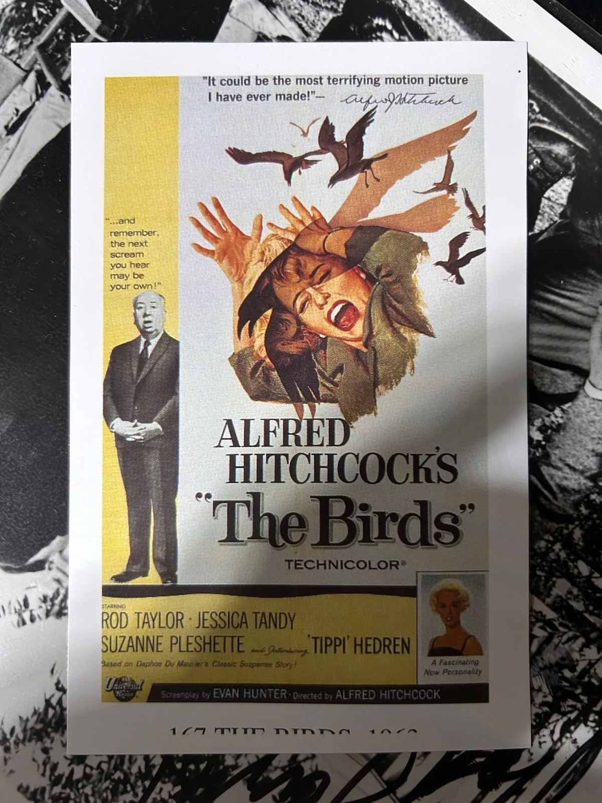 Autographed Photo Of “The Birds” Set, Alfred Hitchcock Signed By Rod Taylor, изображение 3