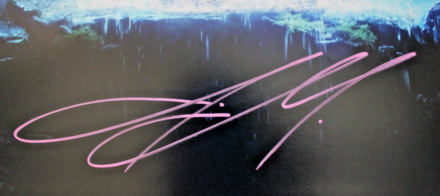 Jason Momoa — Jason Momoa Signed 20x30 Aquaman Photo DC Autograph, изображение 2