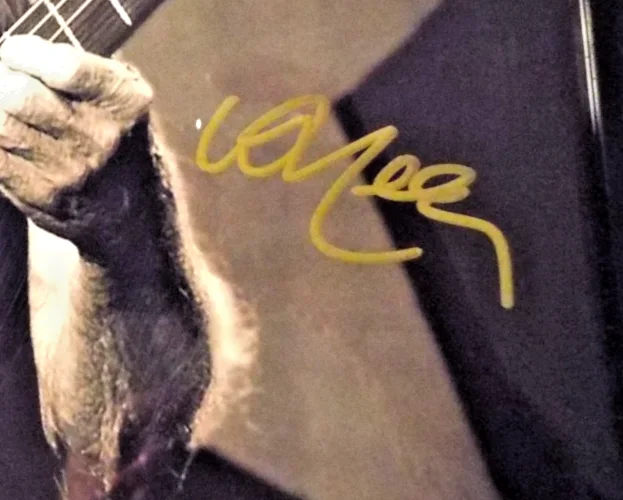 Willie Nelson Hand Signed Photo 8x10 in 11x9 Frame. Signed & Framed for display, image 5