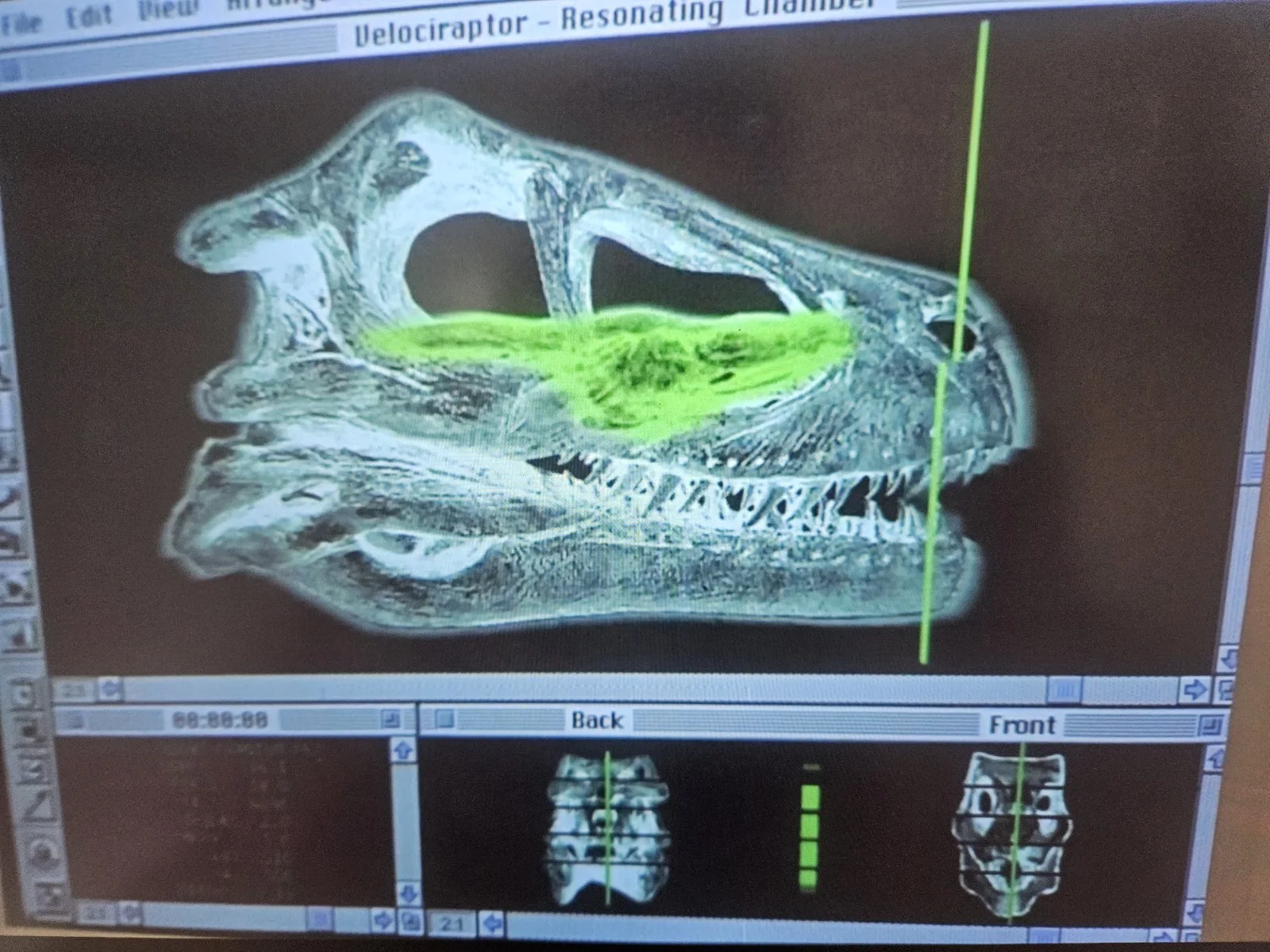 Jurassic Park 3 Screen Used Movie Prop + COA / Velociraptor Raptor CT Scan World, изображение 3