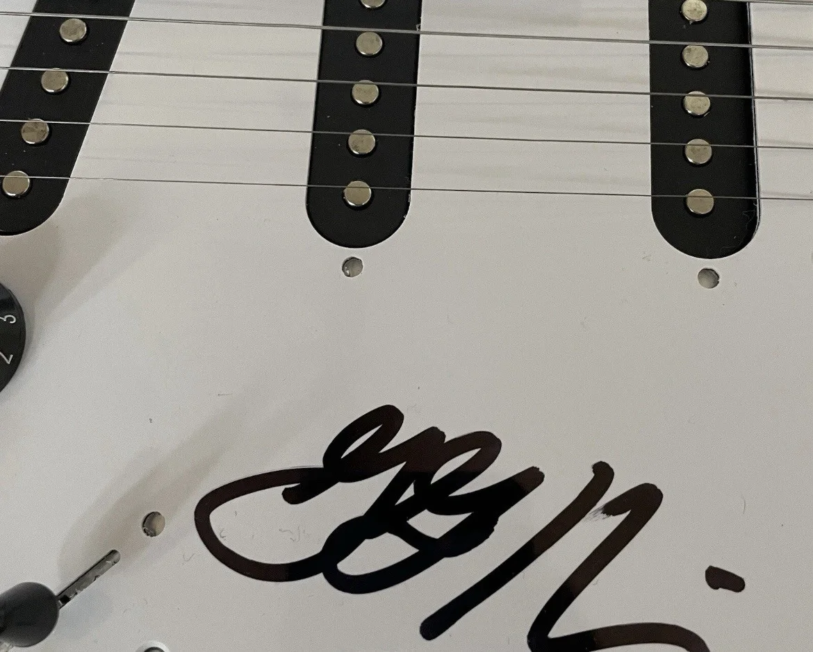 Greg Graffin Bad Religion Signed Custom Electric Guitar Proof JSA COA, image 2