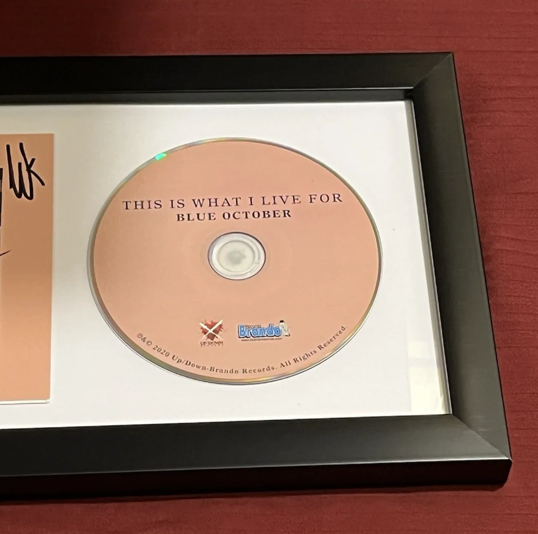 BLUE OCTOBER BAND SIGNED & FRAMED THIS IS WHAT I LIVE FOR CD DISPLAY AUTO COA B, image 4