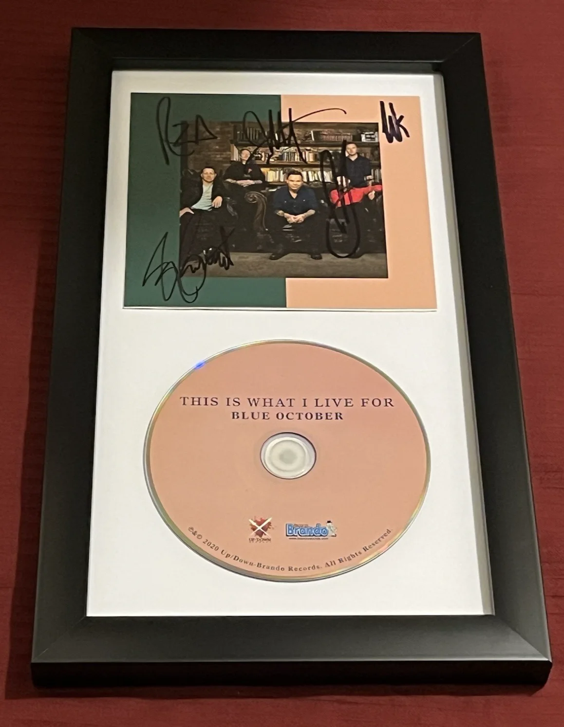 BLUE OCTOBER SIGNED & FRAMED THIS IS WHAT I LIVE FOR CD DISPLAY AUTOGRAPH COA A, image 2