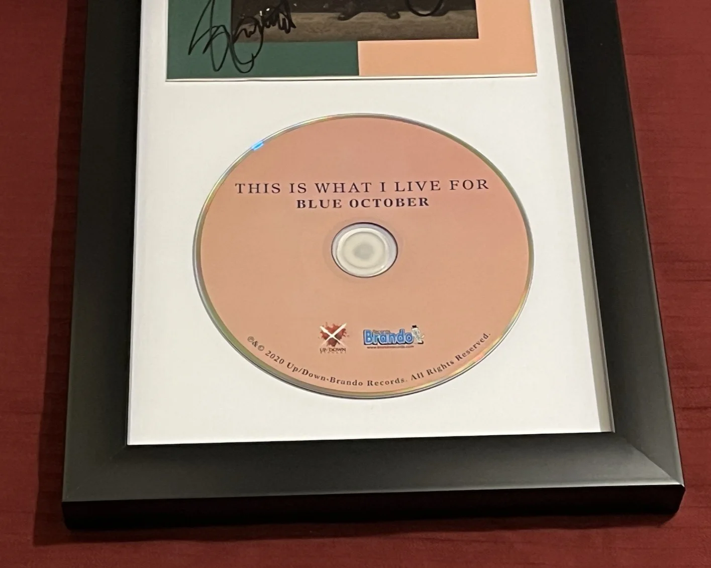 BLUE OCTOBER SIGNED & FRAMED THIS IS WHAT I LIVE FOR CD DISPLAY AUTOGRAPH COA A, image 4